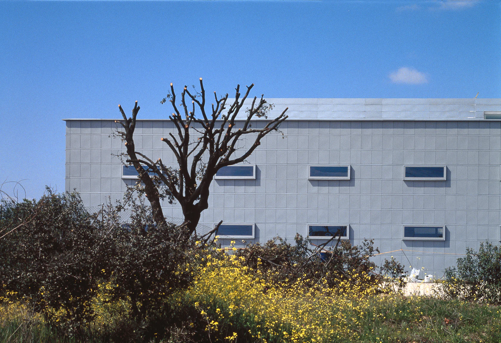 CEU POLYTECHNIC BUILDING by Virseda & Vila Architects - Architizer