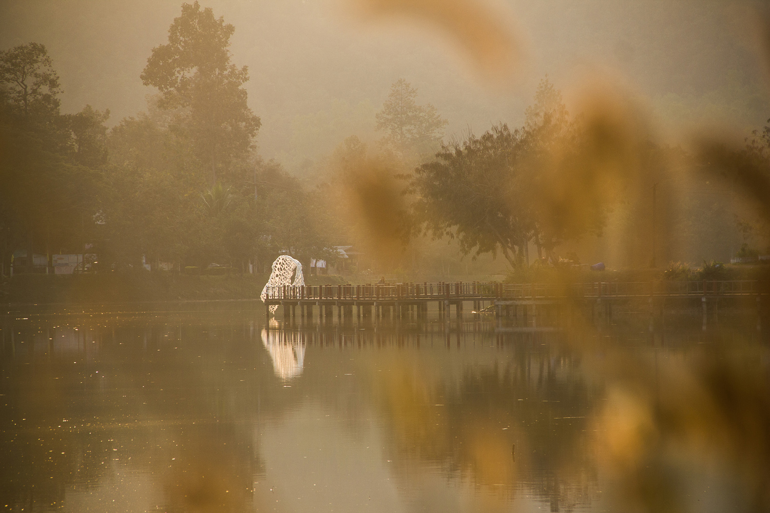 © VINN PATARARIN X FAHPAV