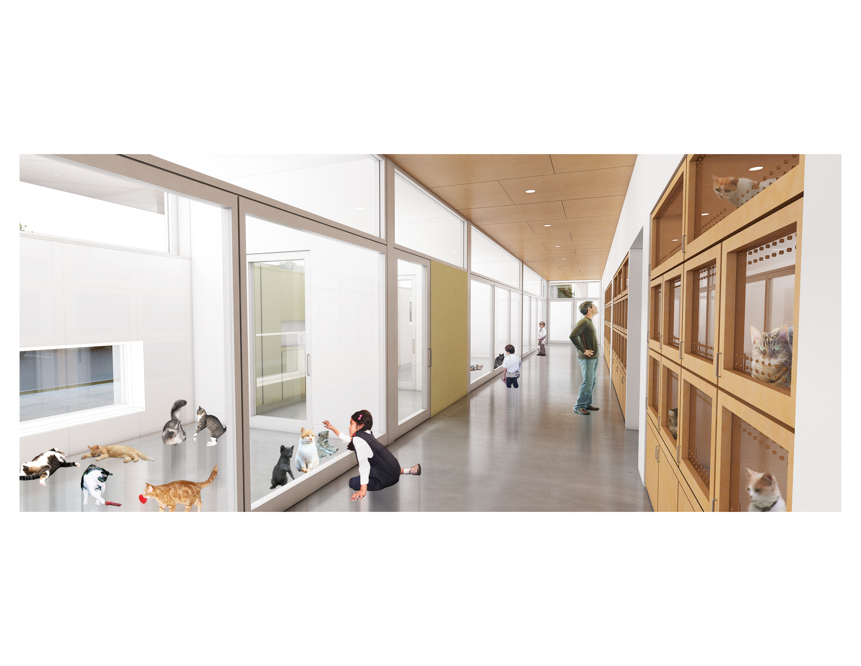 Dutchess County SPCA Adoption and Education Center Phase 1A by Studio