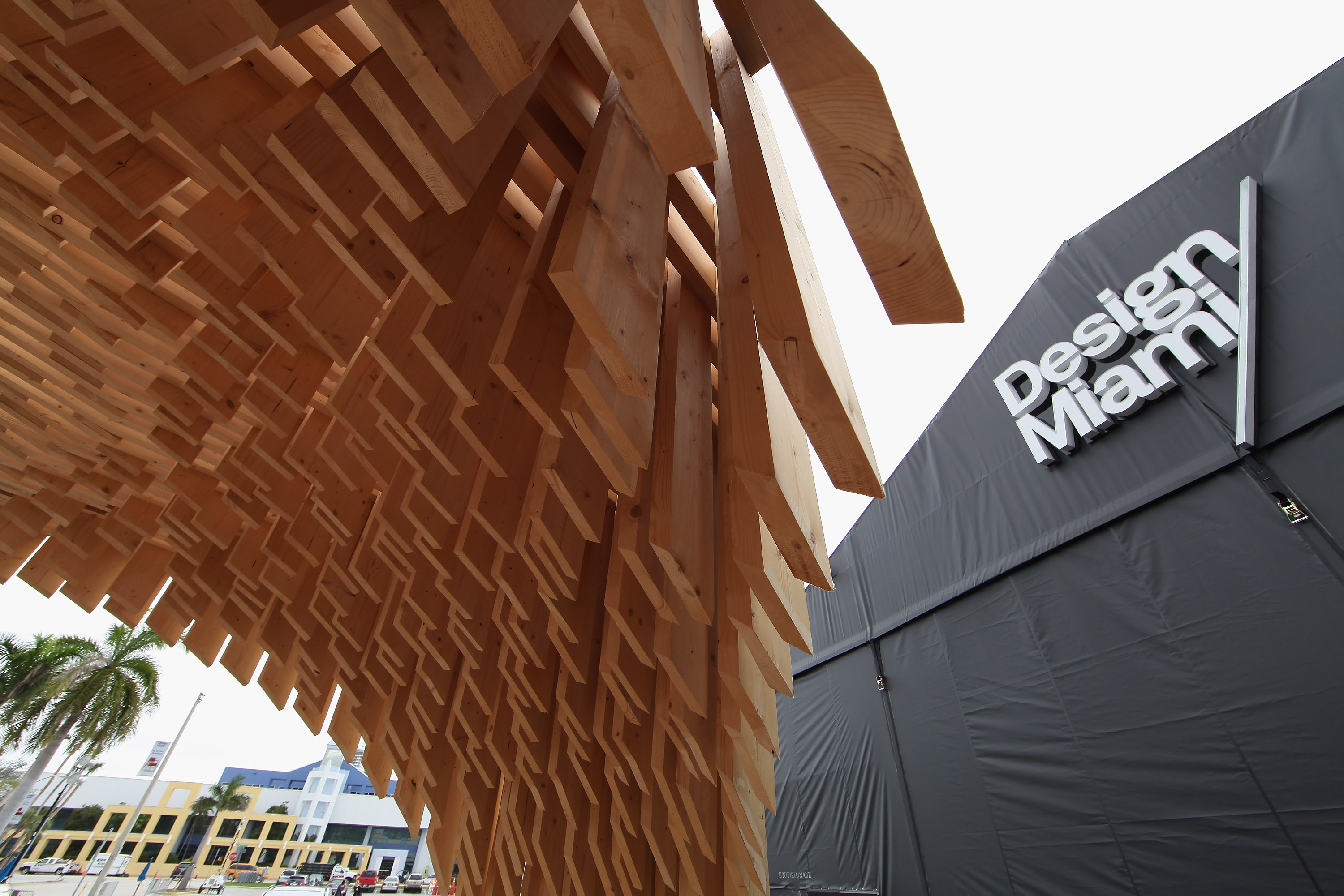 © Alexander Tamargo