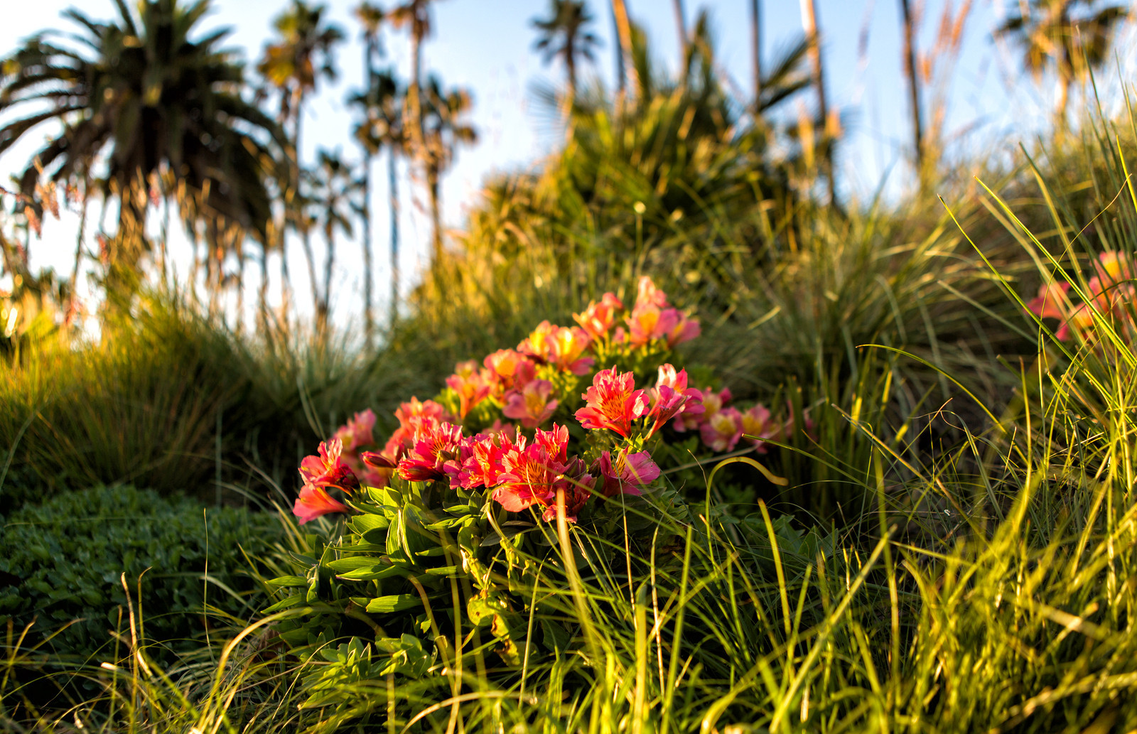 © Joakim Lloyd Raboff