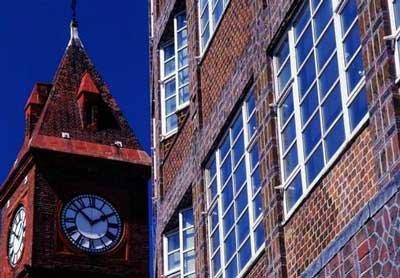Crittall Homelight™ Mild Steel Windows