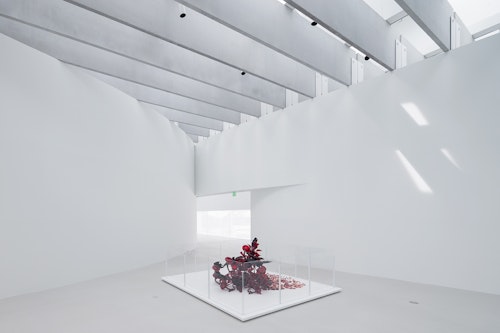 Go to Thomas Phifer and Partners