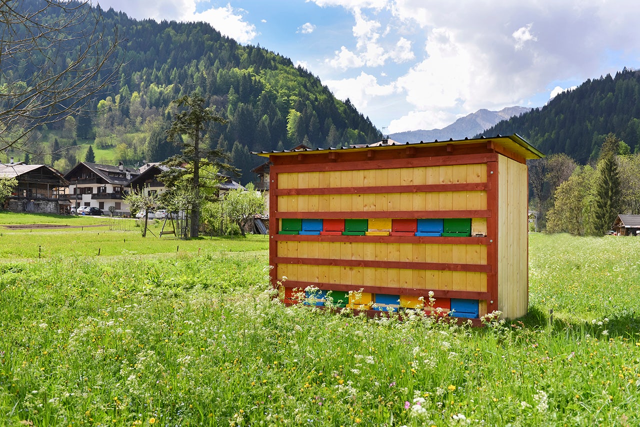 © archMaDe | Massimiliano Dell'Olivo architetto