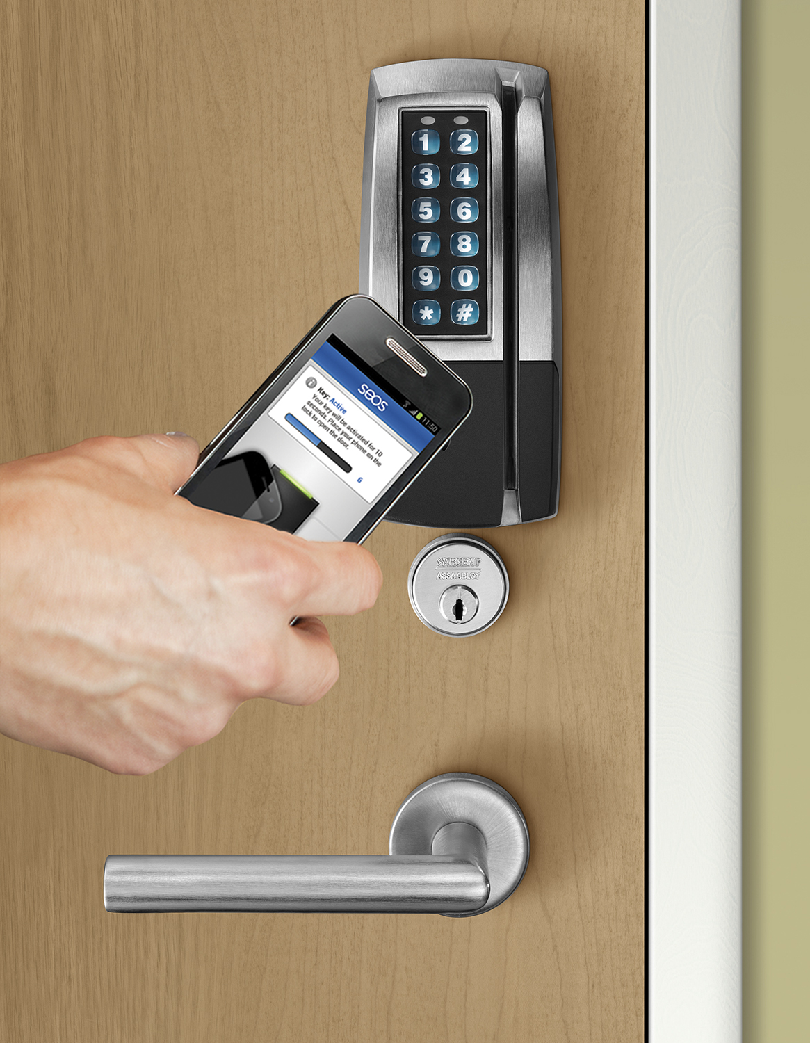 Passport 1000 P1 Online Access Control Lock