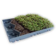 Ecosedum Tray®
