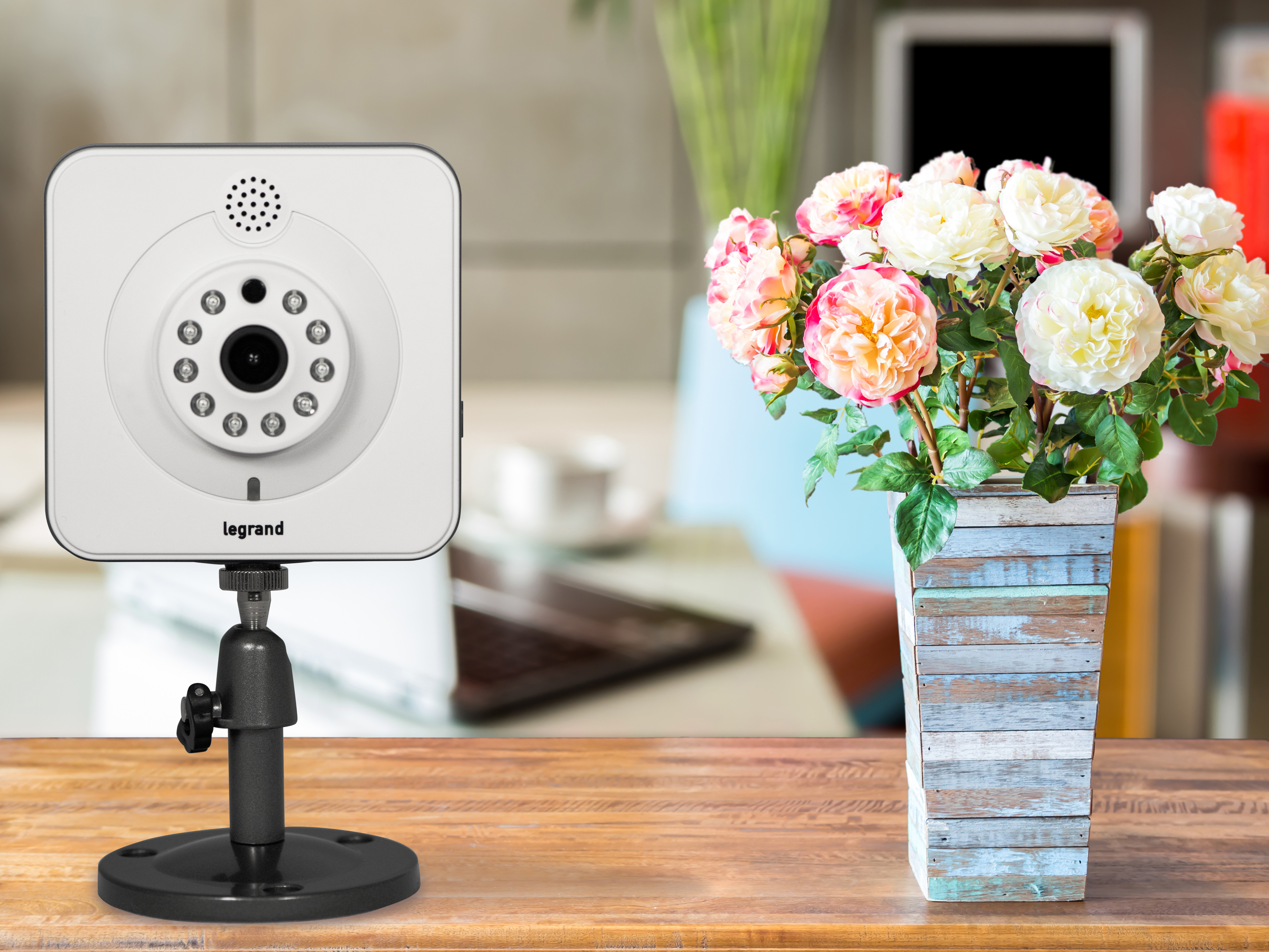 IP Cameras