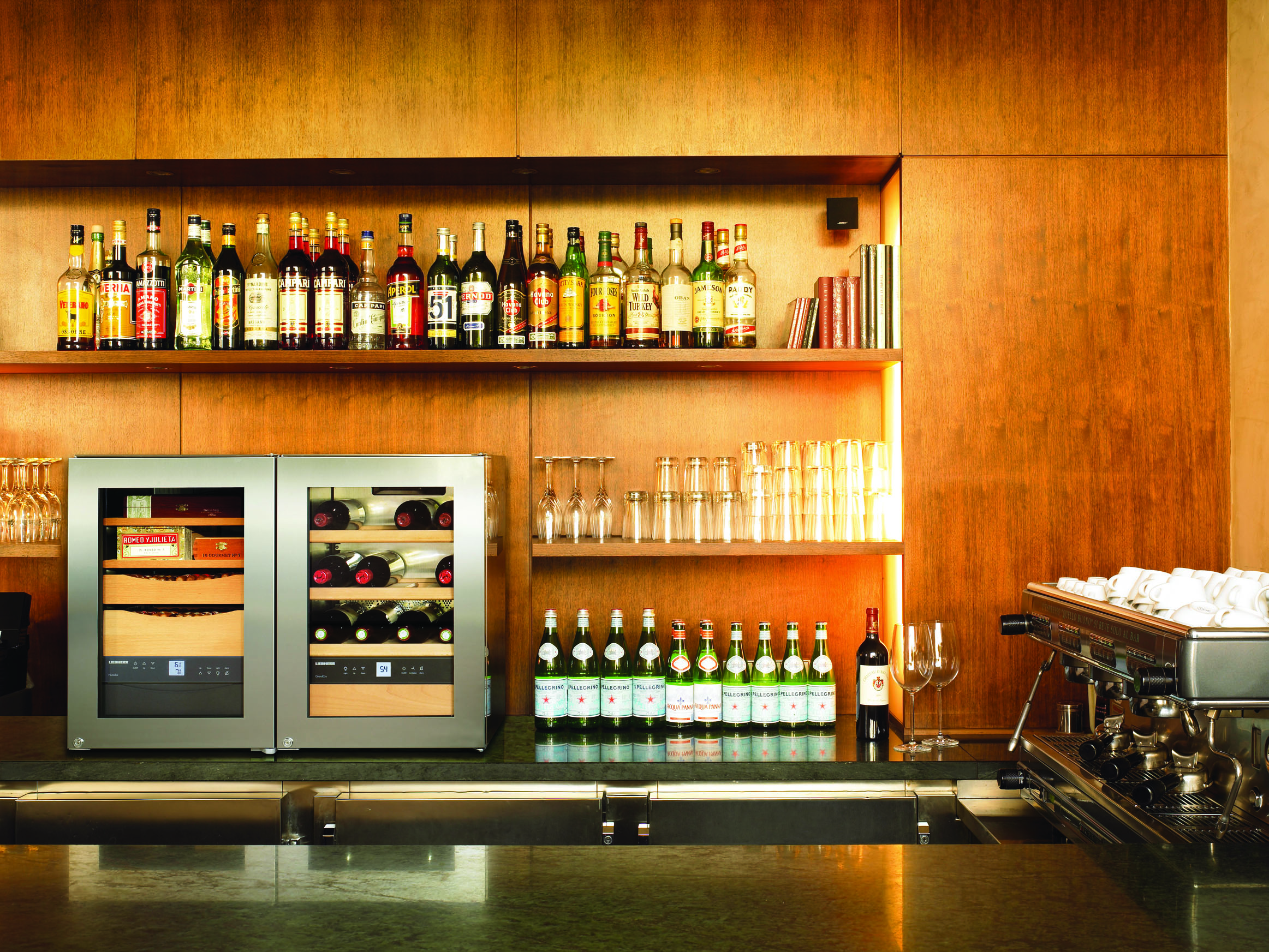 XS 200 Design & Lifestyle Refrigerators 
