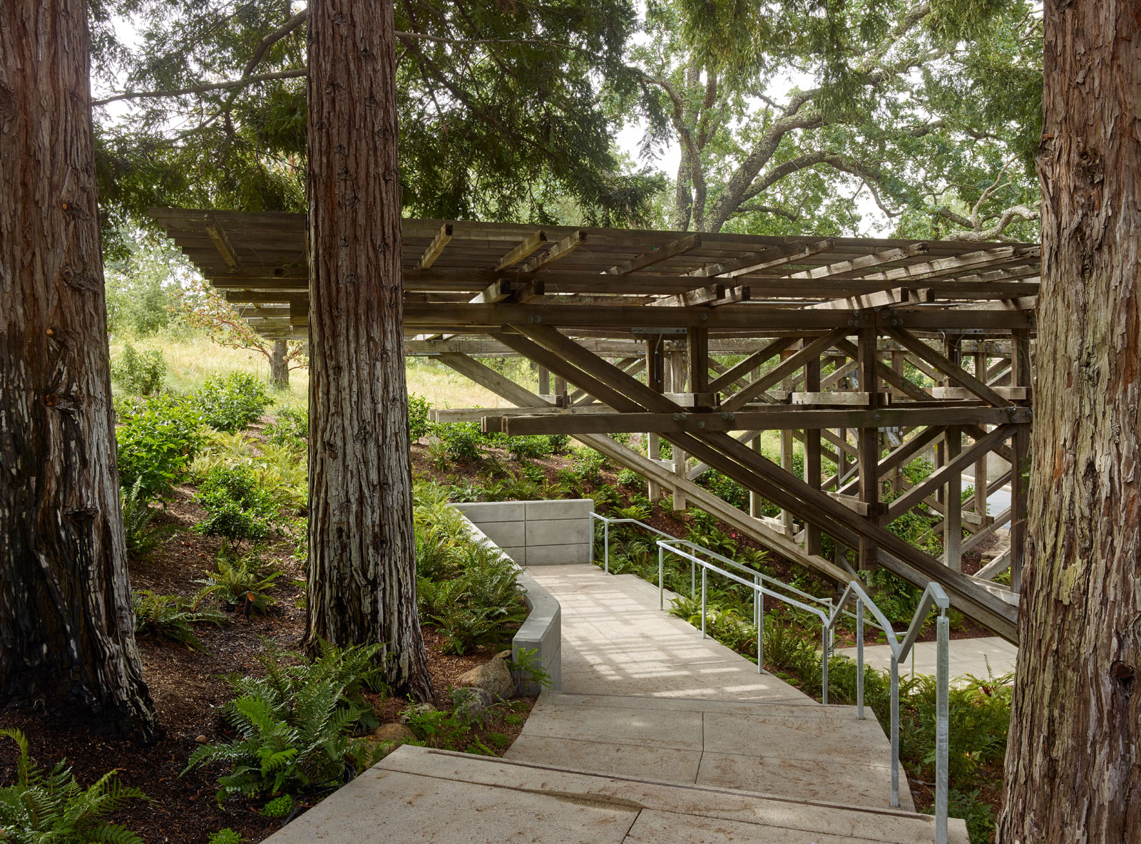 © Bruce Damonte Photography Inc