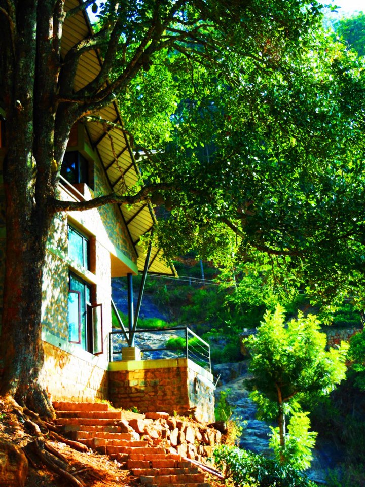 © Biome Environmental