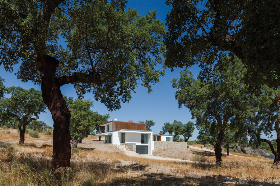 © Joao Morgado - Architecture Photography