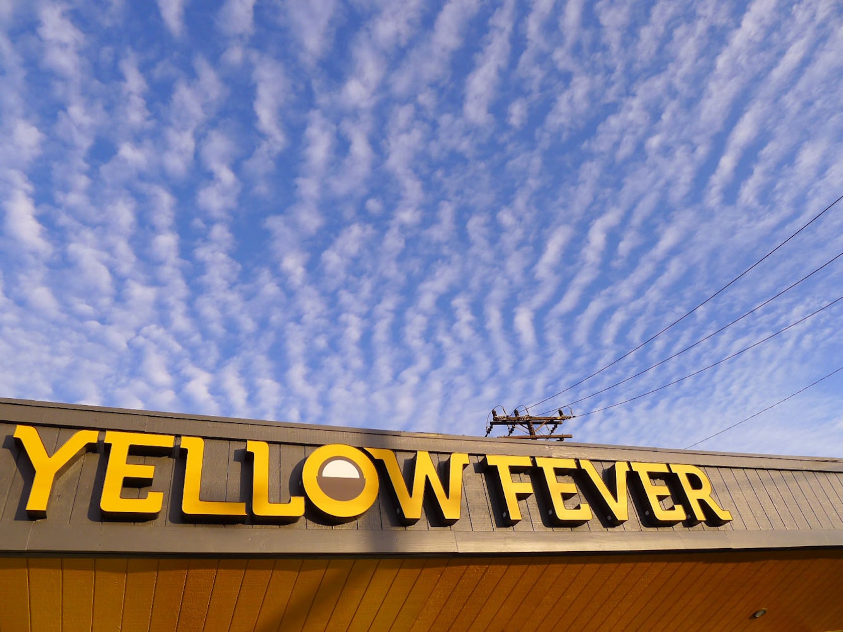 Yellow Fever - Architizer