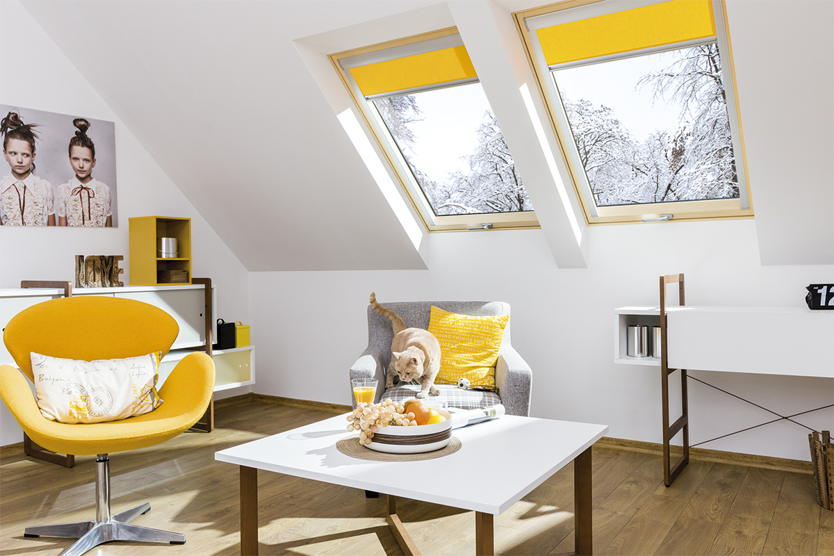 Highly Efficient Roof Windows FTT 
