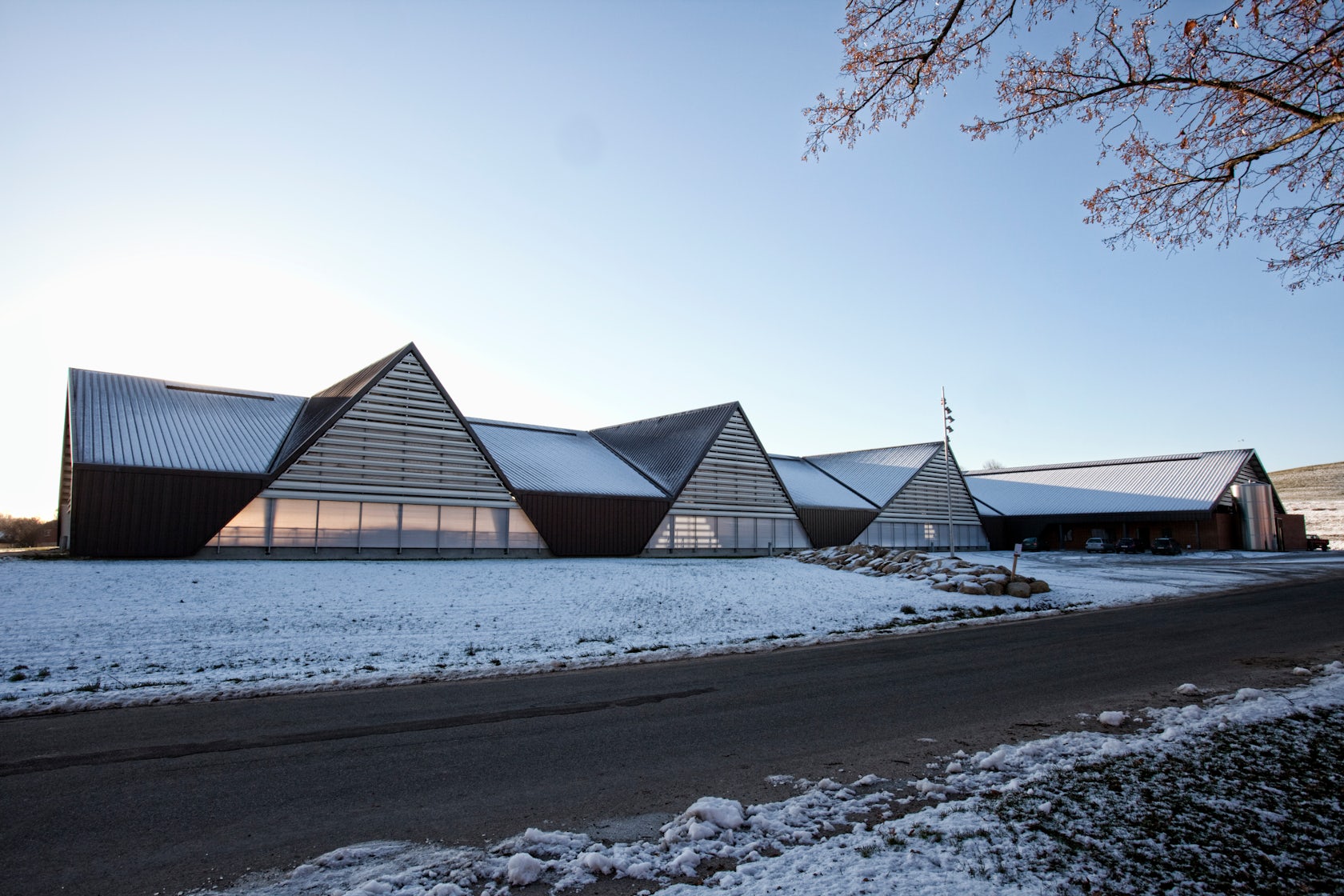 © LUMO Architects