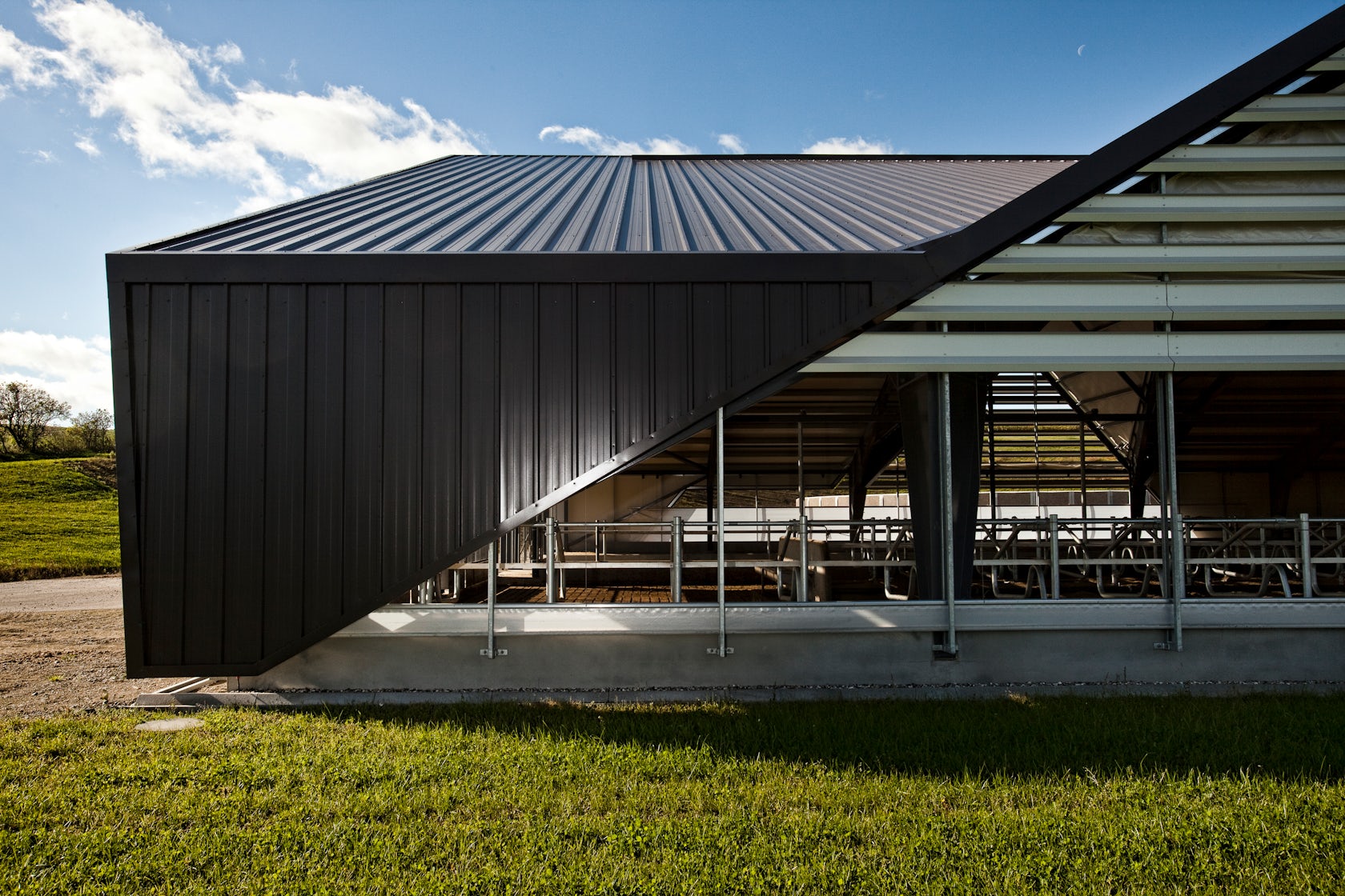 © LUMO Architects