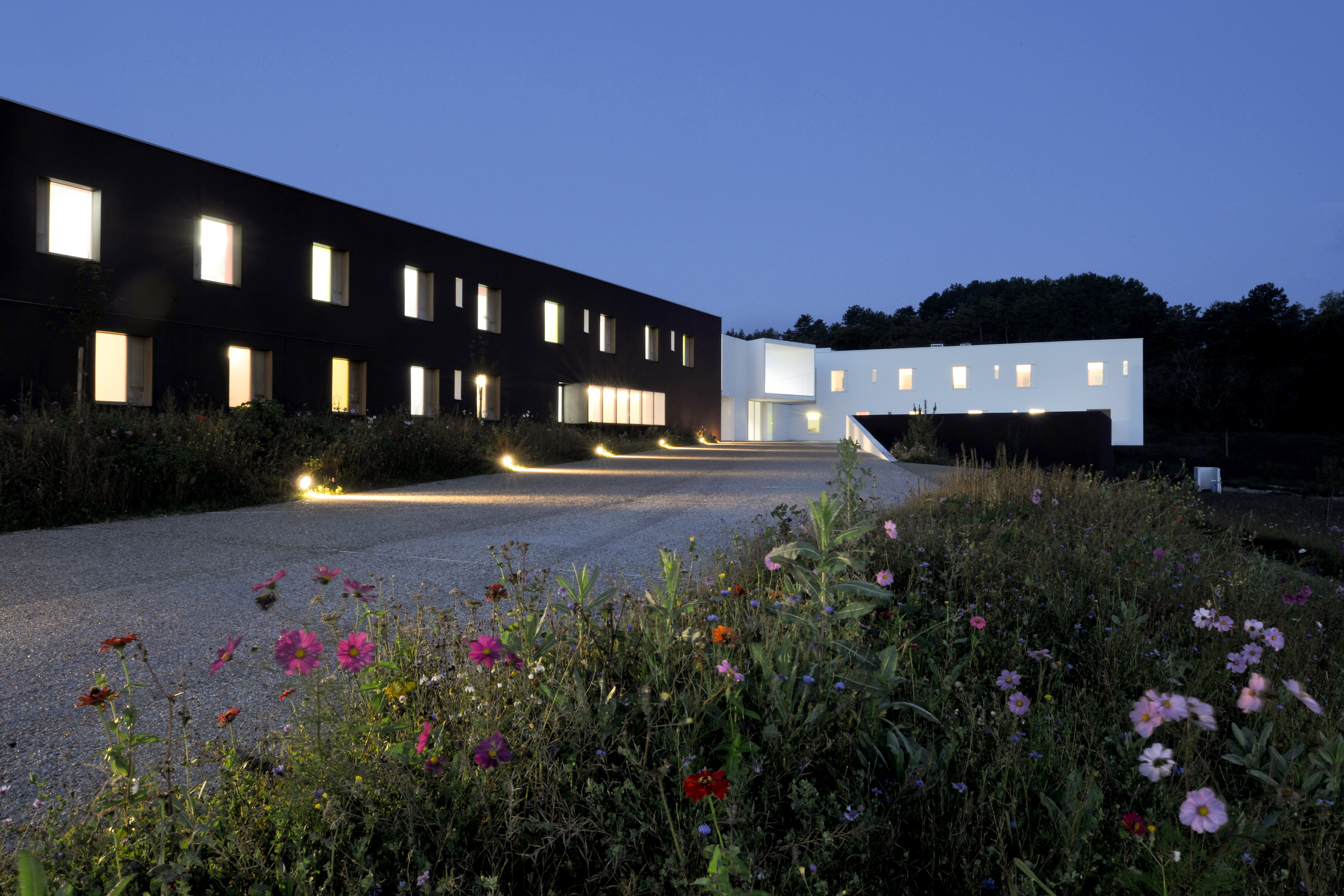 © David Romero-Uzeda