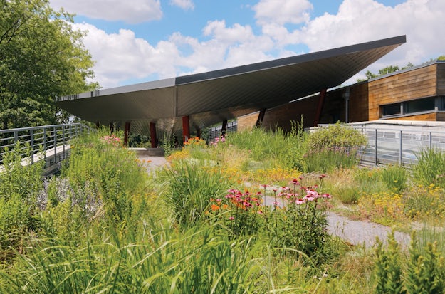 The Urban Wild 10 Botanical Gardens Revolutionizing Horticulture