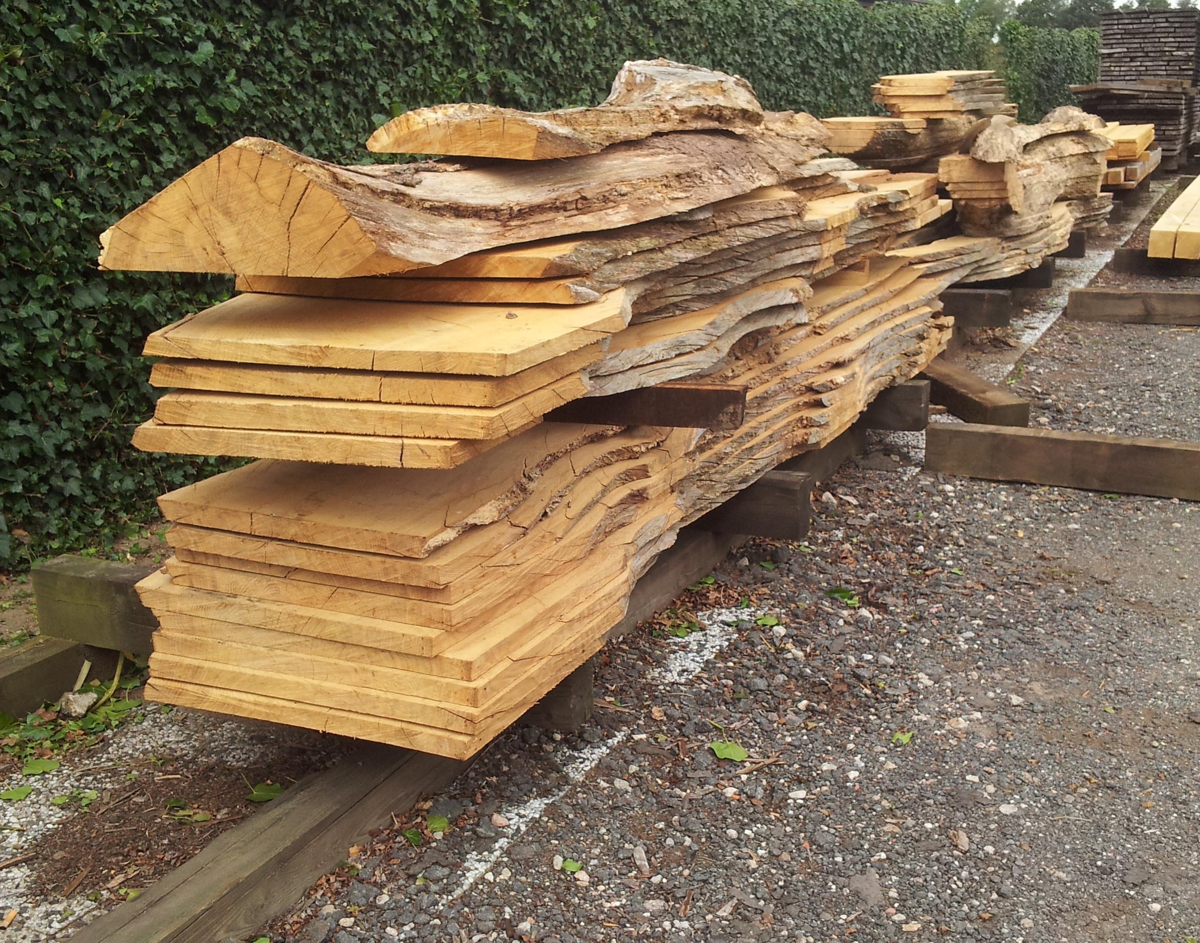 © Wirth Architekten