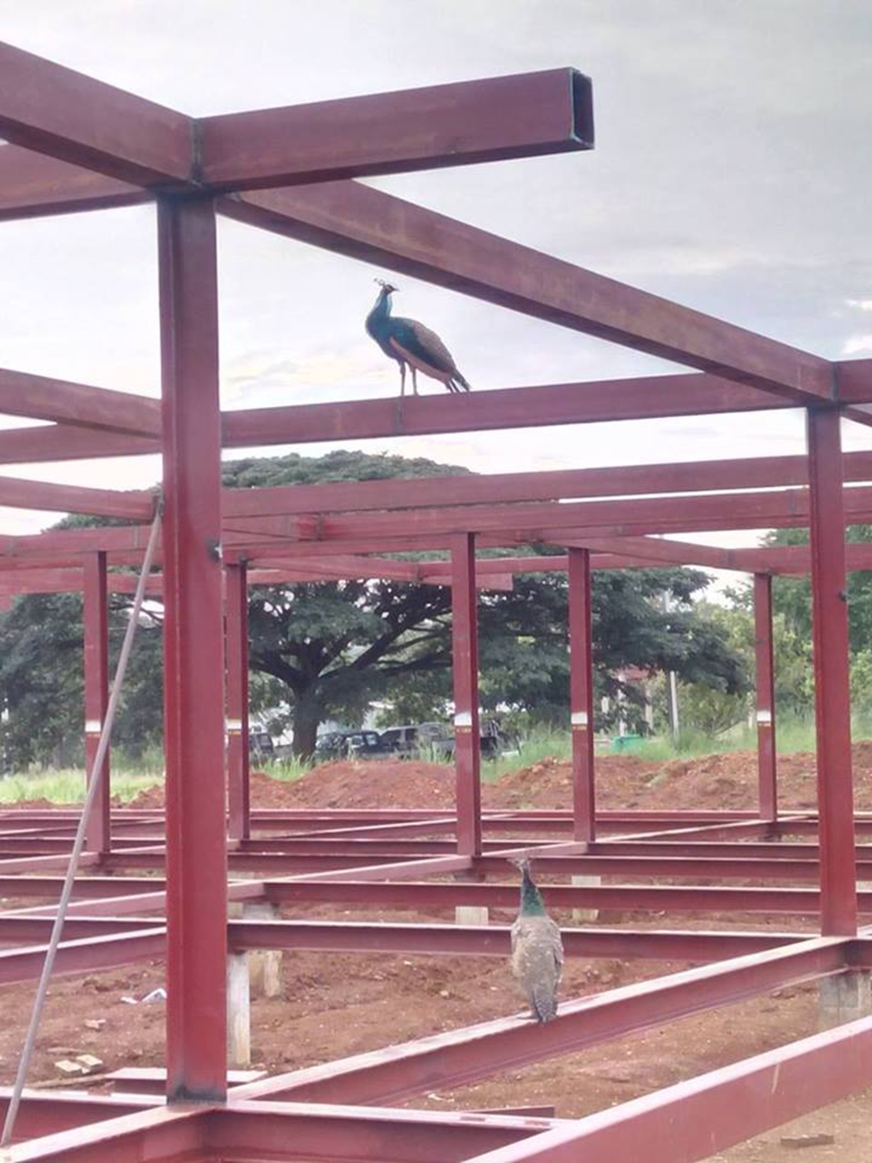 Baan Rai Thaw Si by Sook Architects Company Limited - Architizer