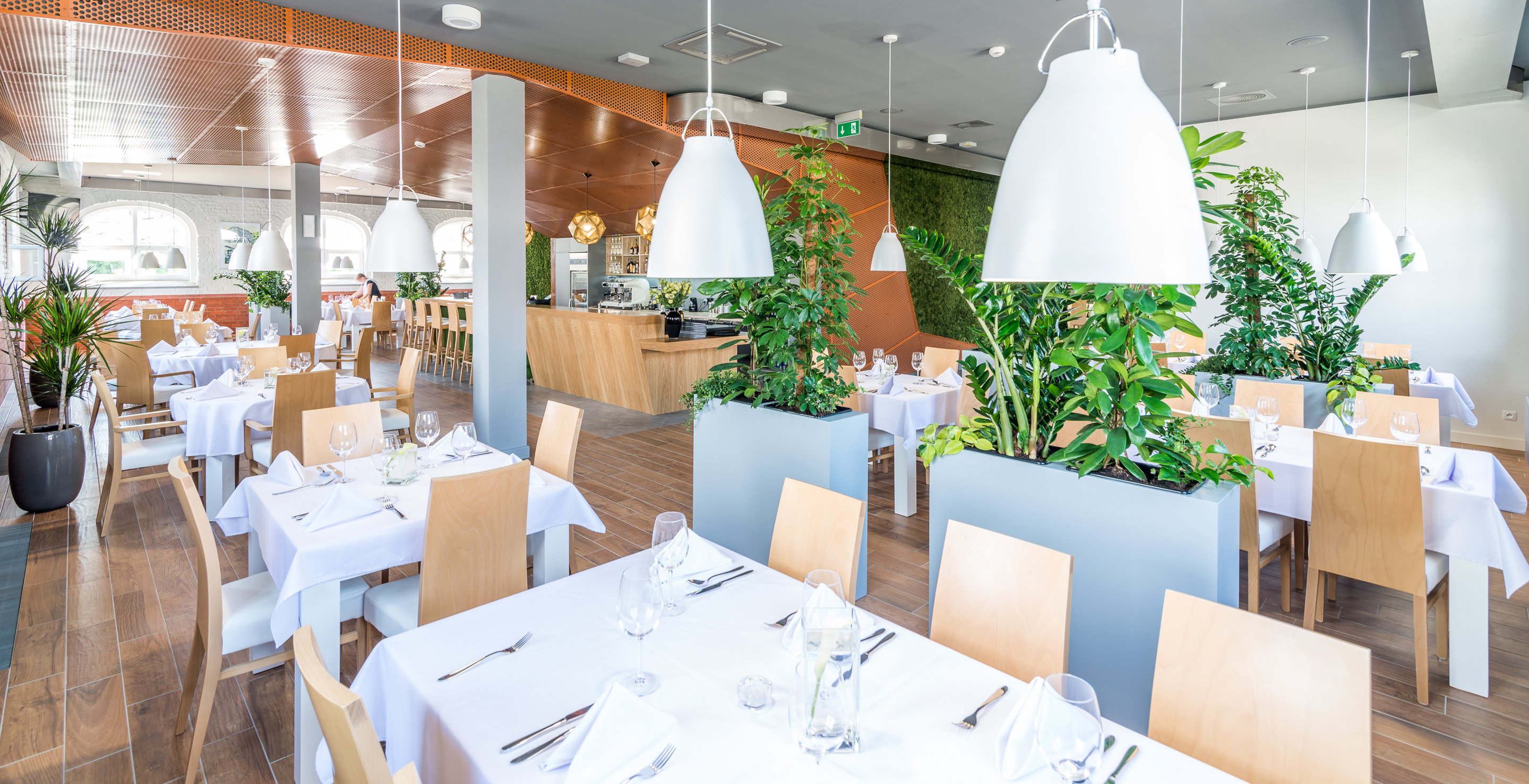 © Fotografia Maciej Lulko