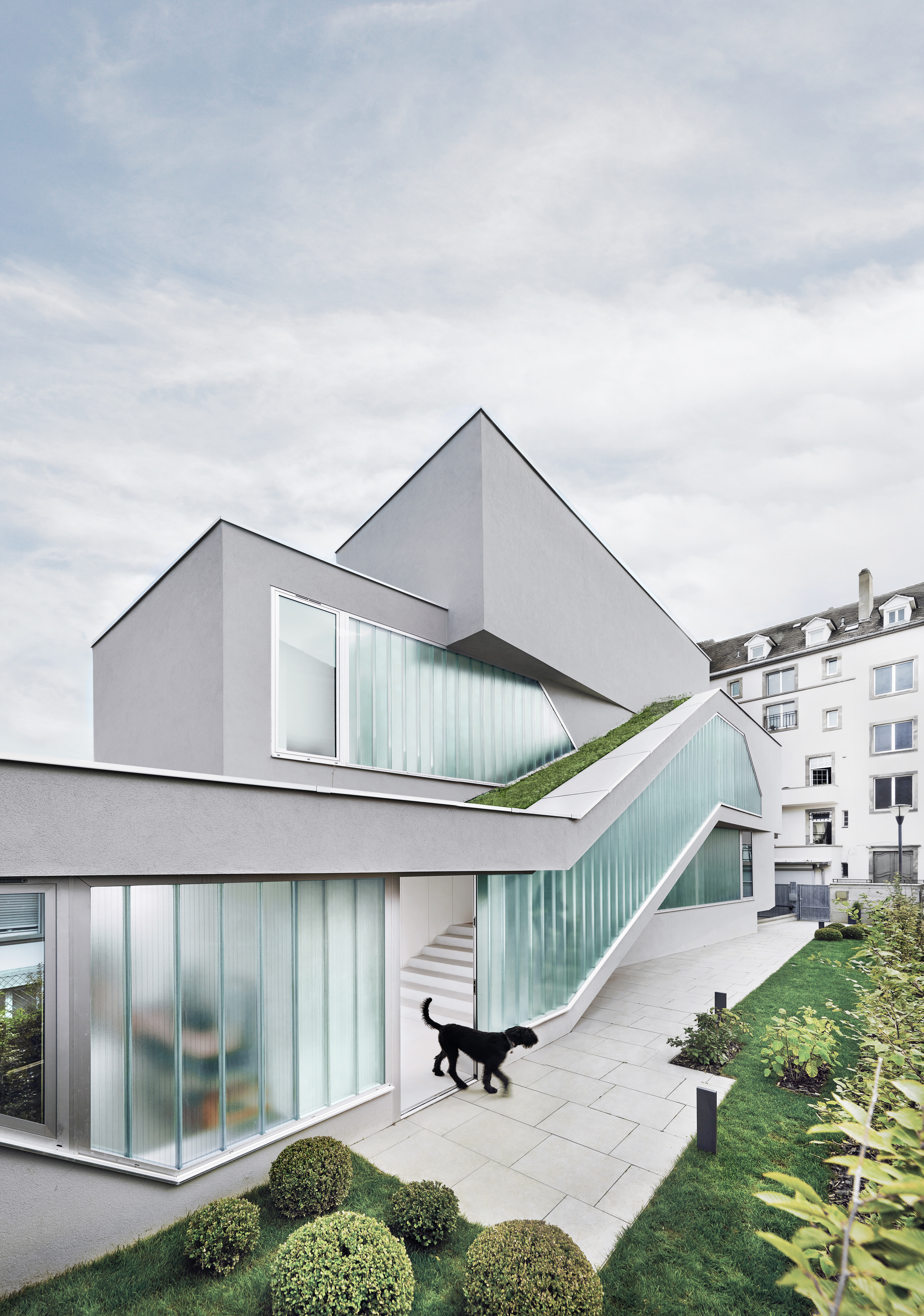 Villa saitan в киото, япония. Туя западная даника живая изгородь. 3д макс архитектура визуализация. 3д визуализация участка с домом. Бионическая архитектура дубаи.