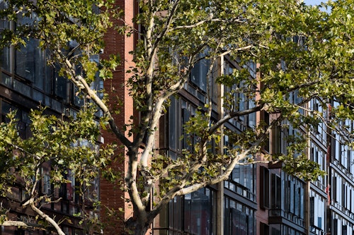 Go to Think! Architecture + Design