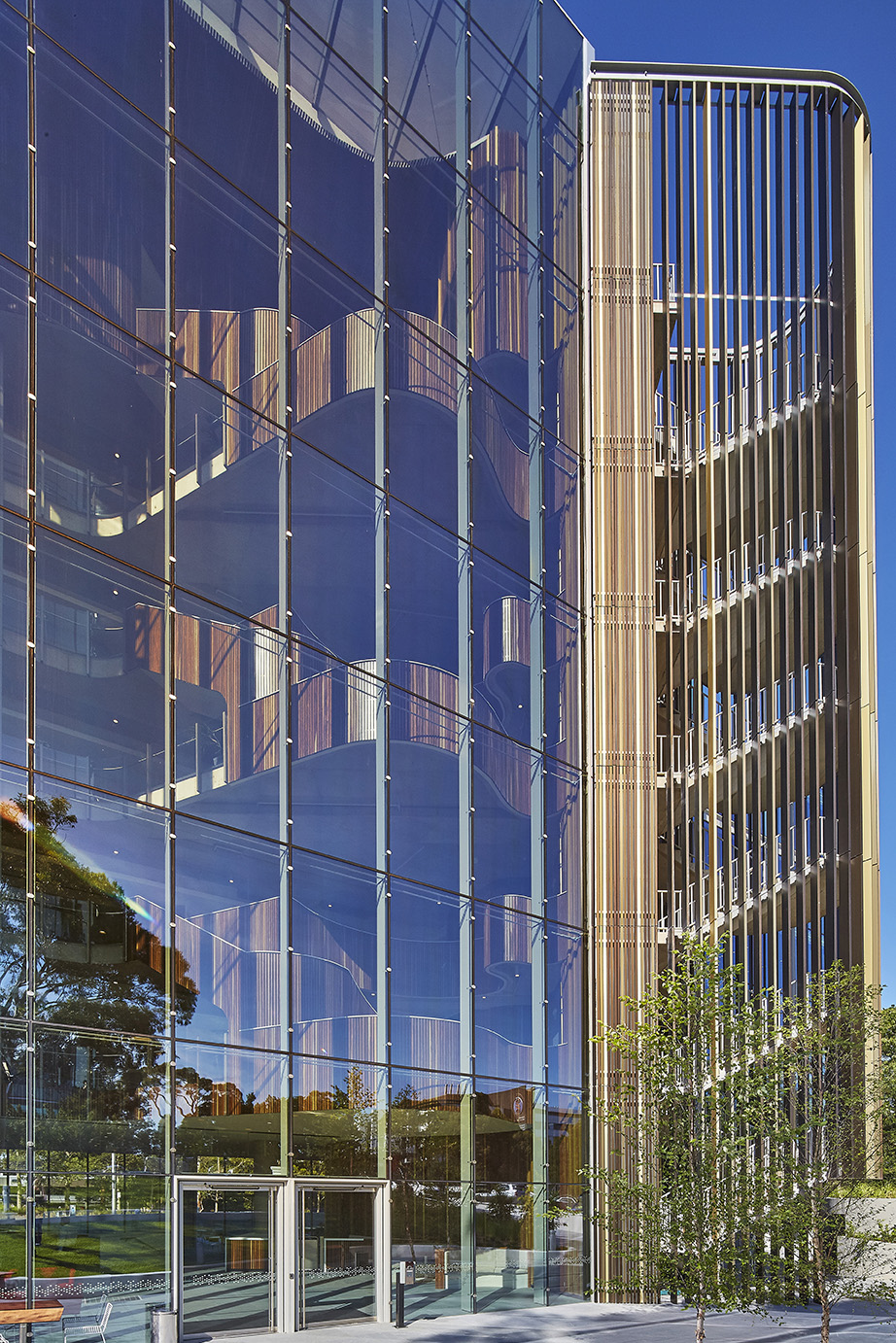 Novartis Australia HQ Building by HDR Architizer