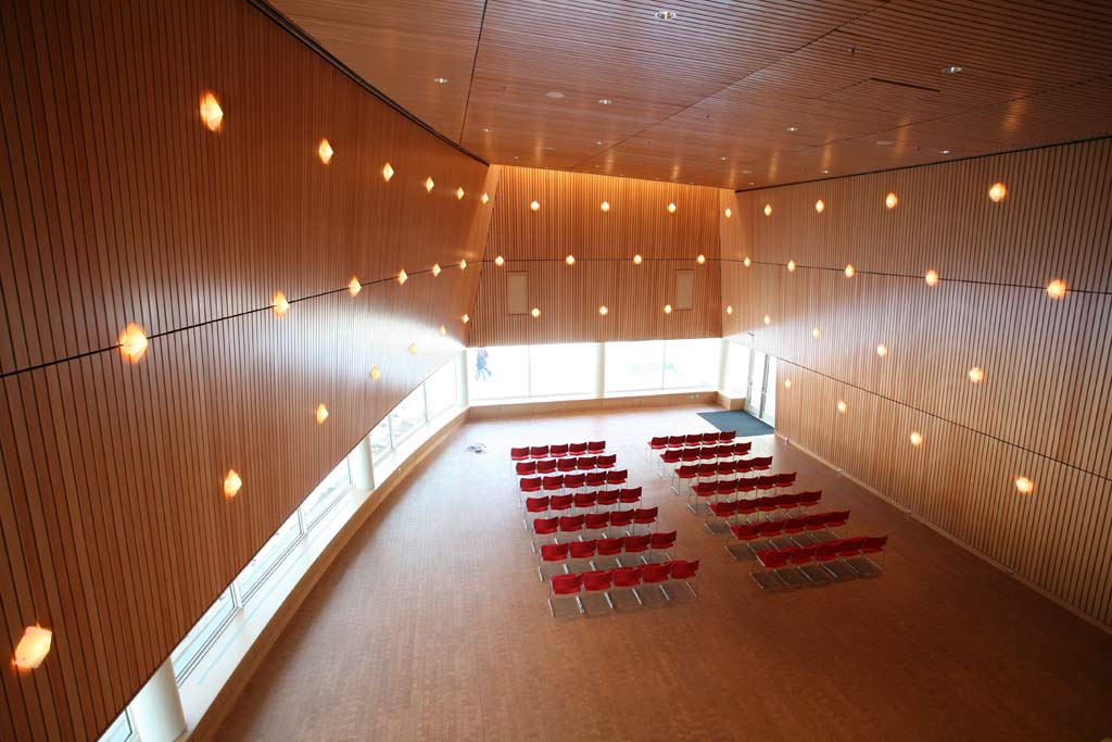 Linear Ceilings + Walls
