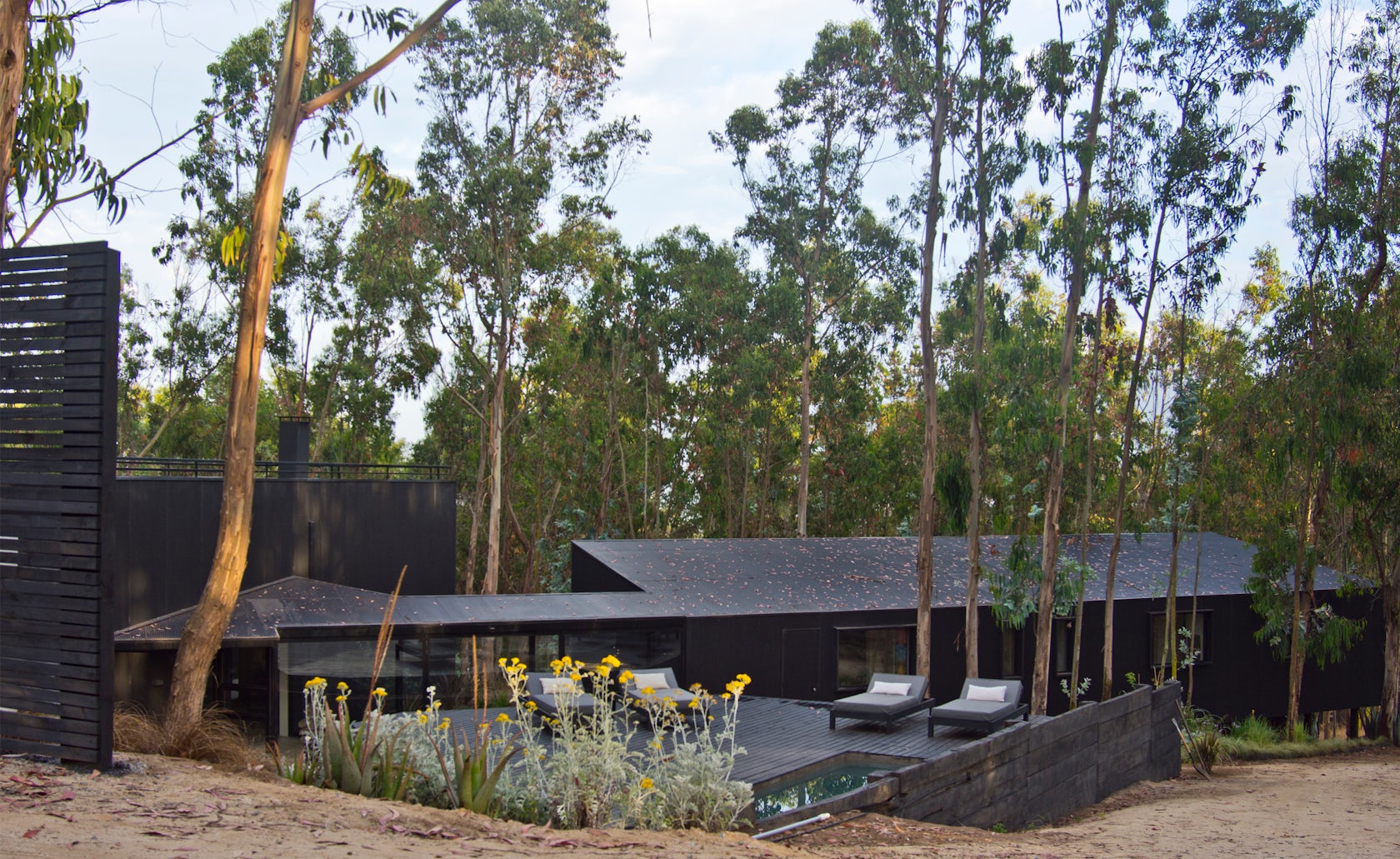 © Alfredo Comandari Architects