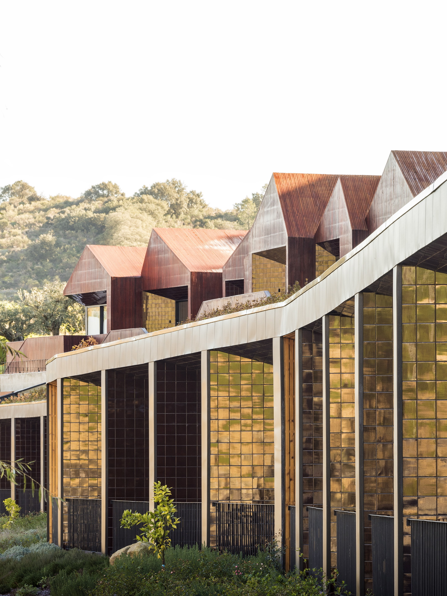 © Rebelo de Andrade