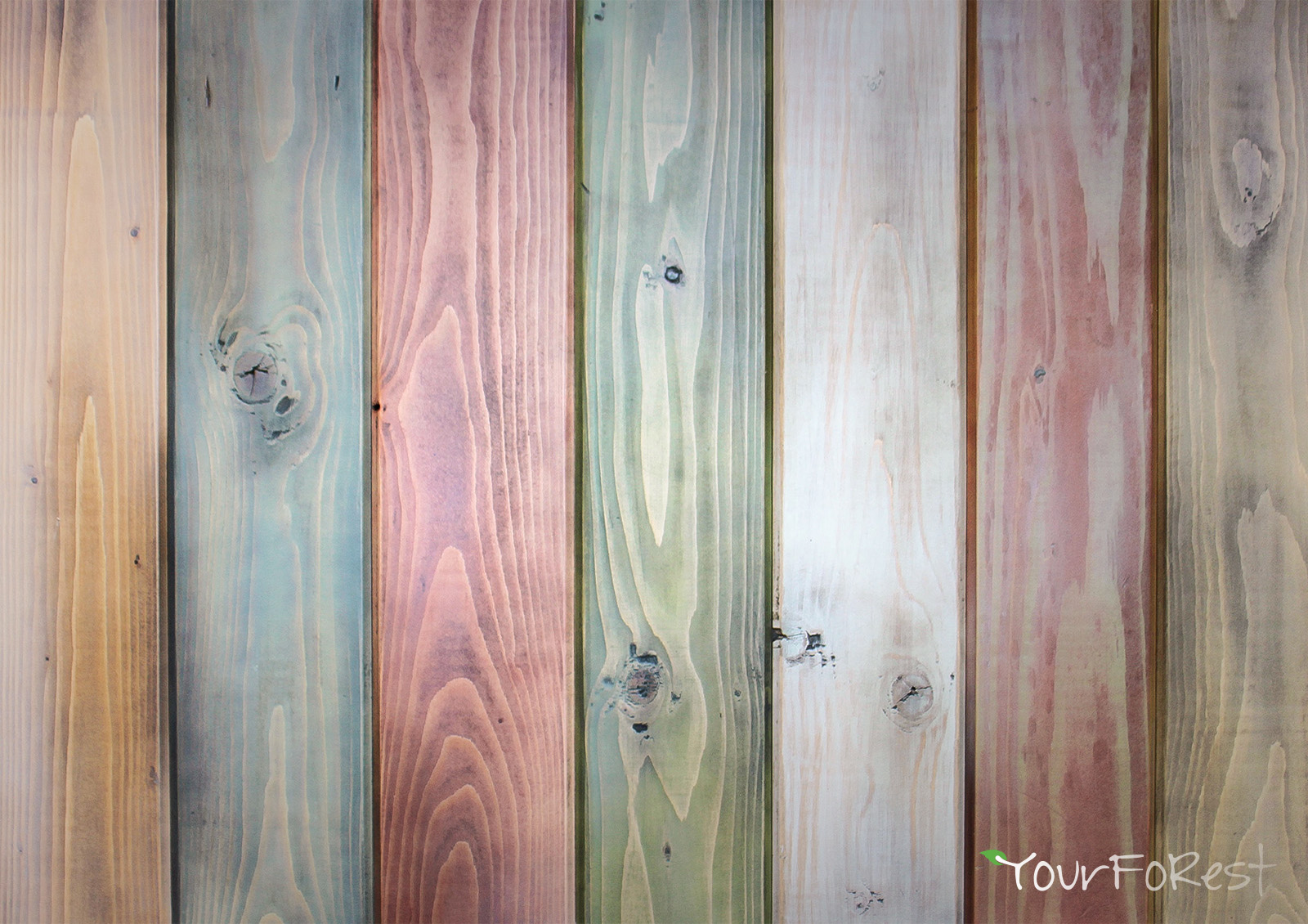 FENCE COLLECTION