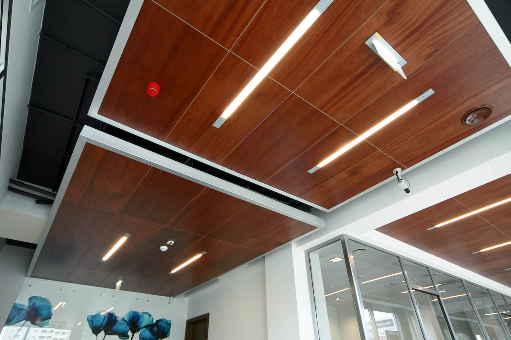 Wood Ceilings - Natura™ 
