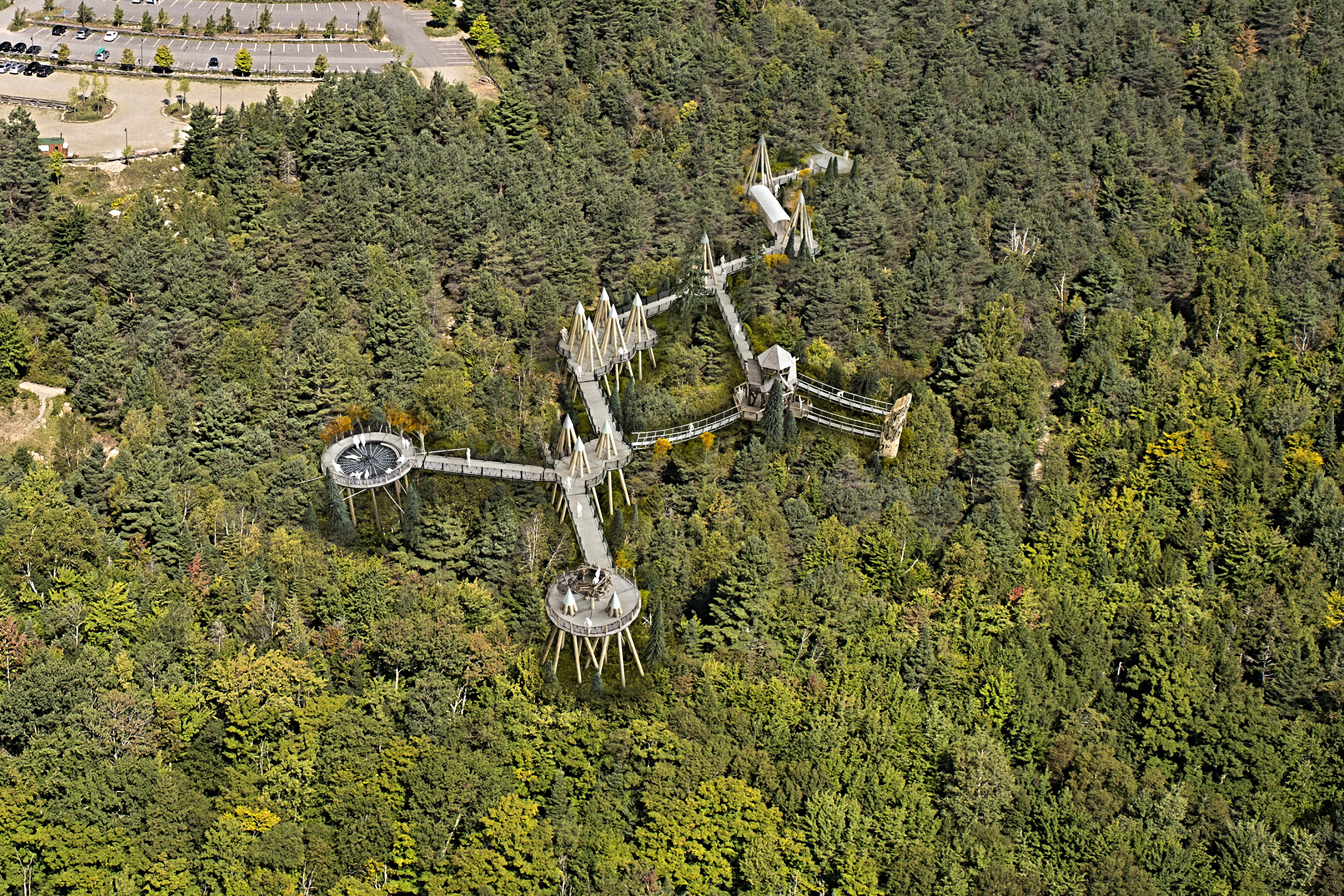 Treetop Helper