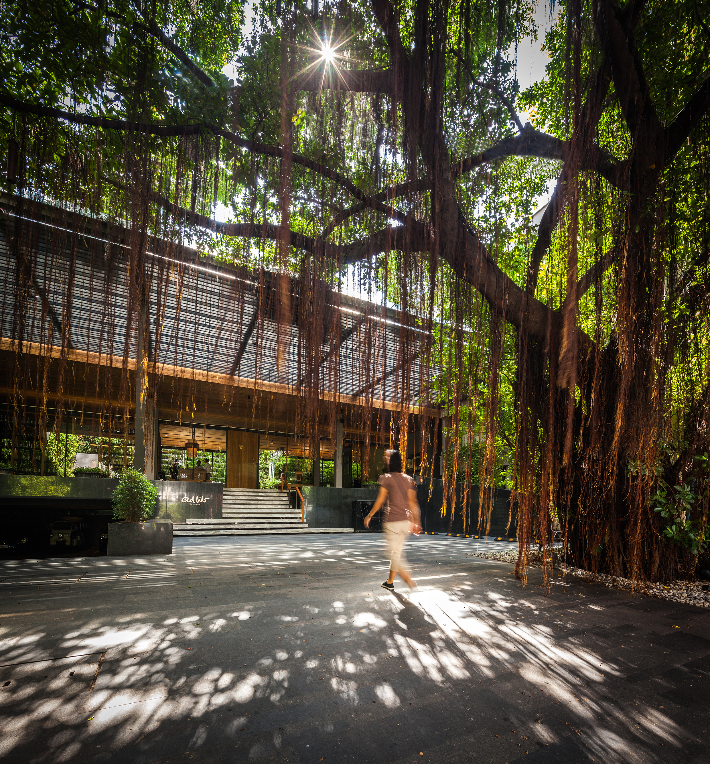 © TROP : terrains + open space