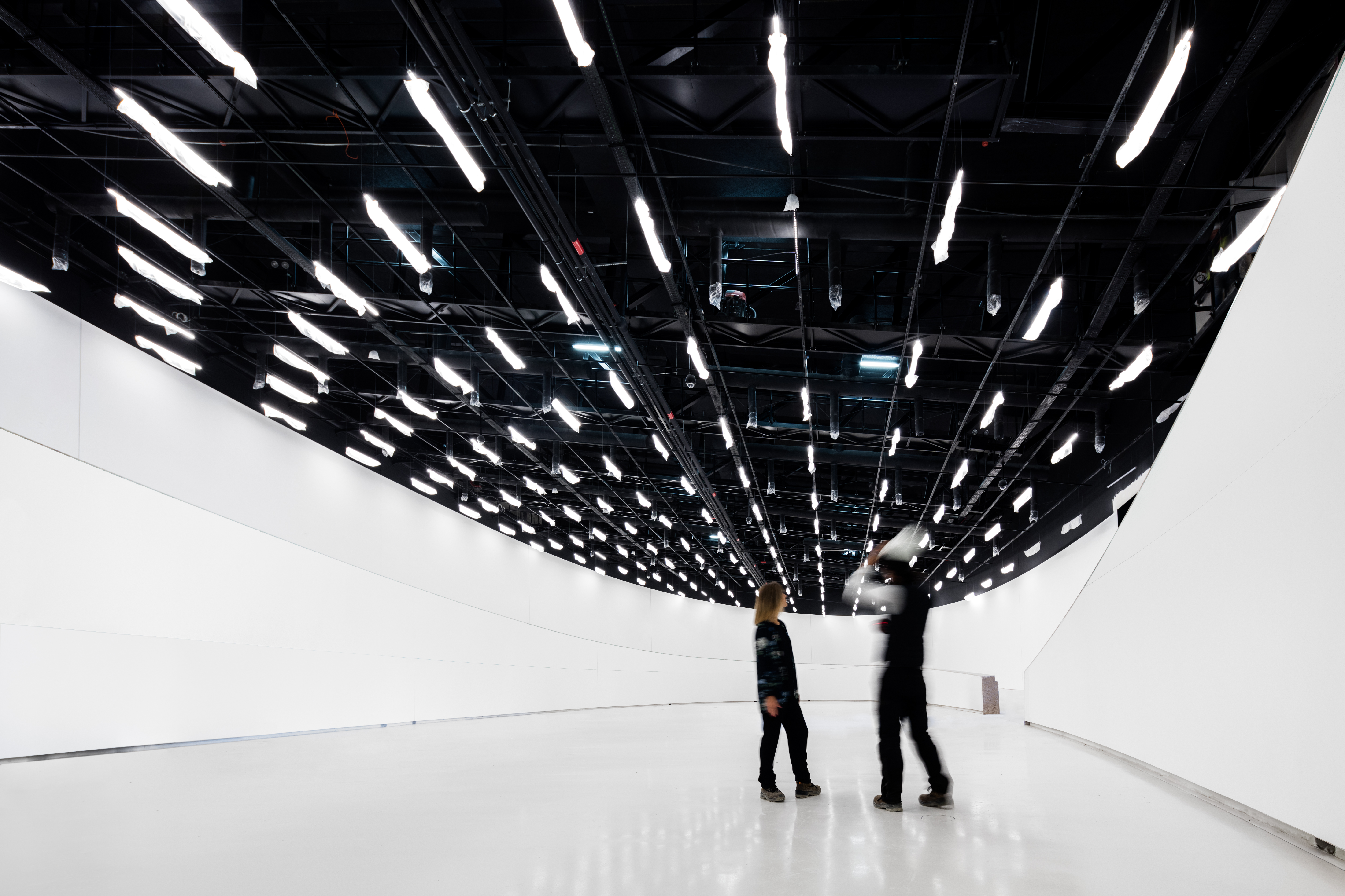 © Dianna Snape Photography