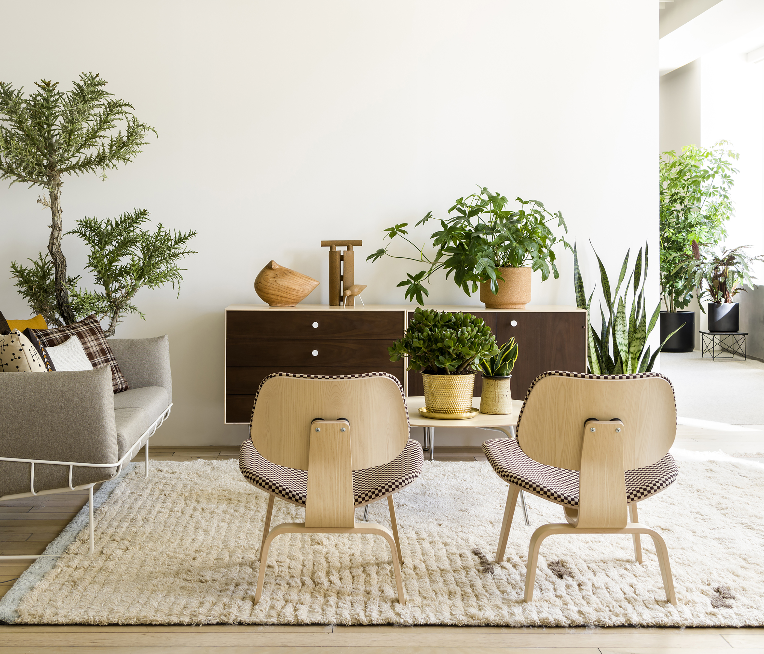 Eames Molded Plywood Chairs