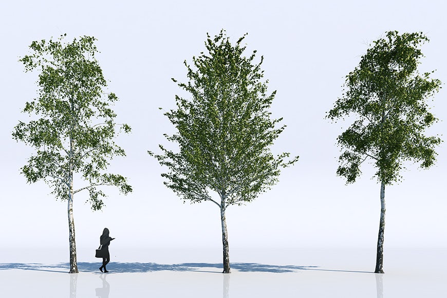 Free: 18 Highly Detailed 3D Trees for Your Architectural Visualizations ...