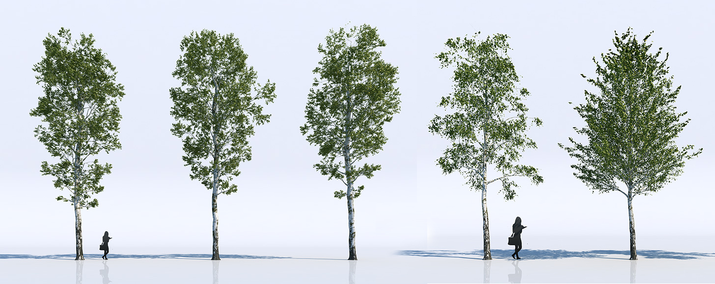 Free: 18 Highly Detailed 3D Trees For Your Architectural Visualizations ...