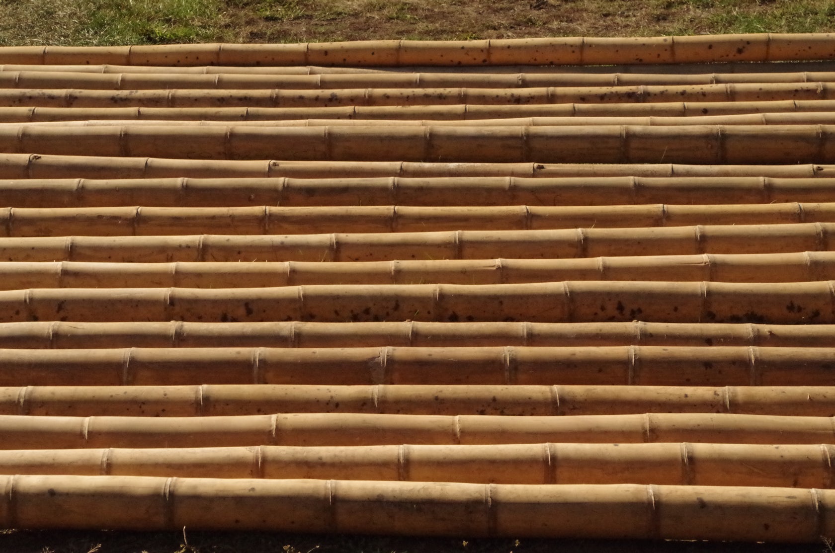 An Architect's Guide to Building With Bamboo Architizer Journal