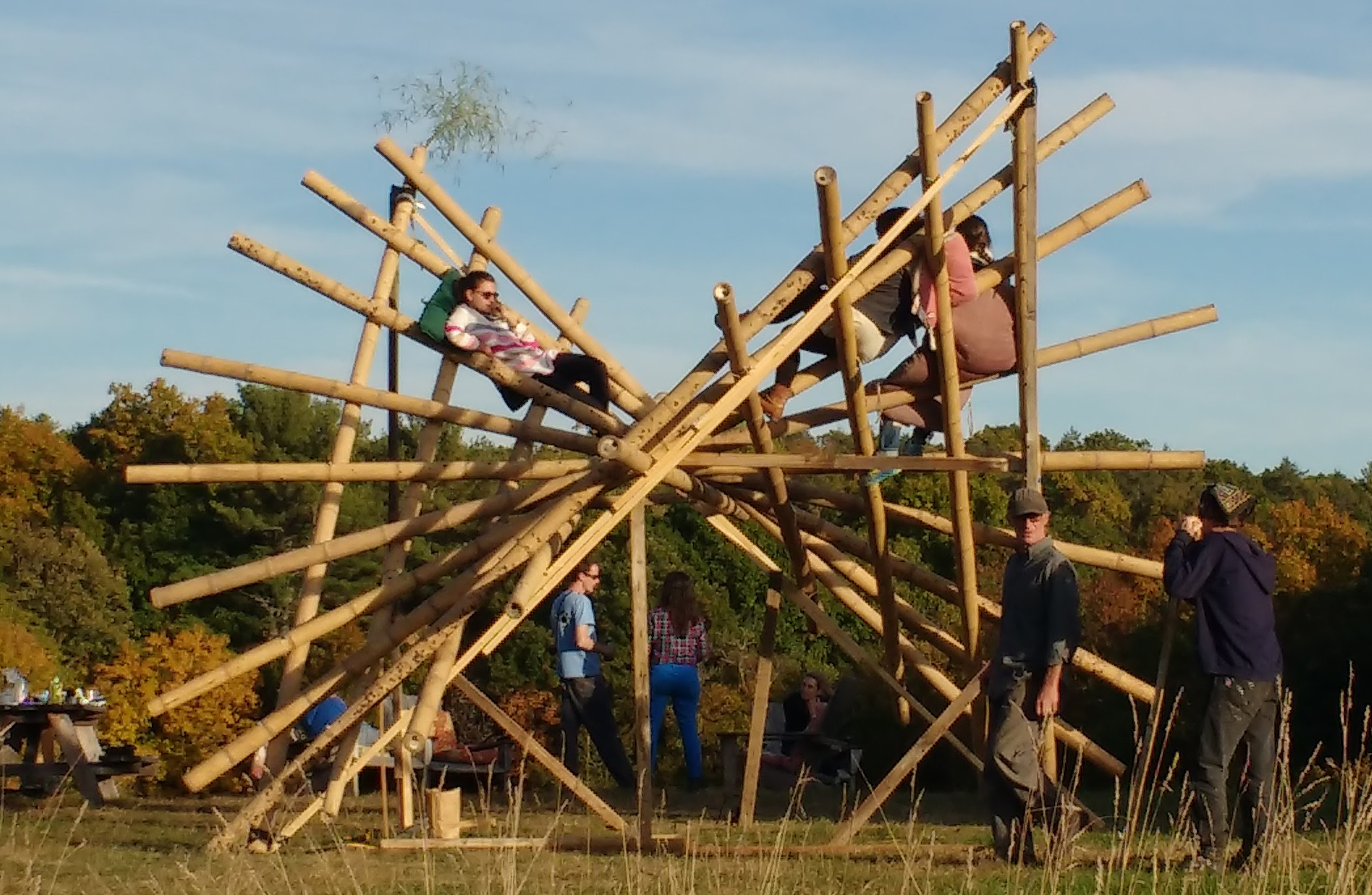 An Architect's Guide to Building With Bamboo - Architizer Journal