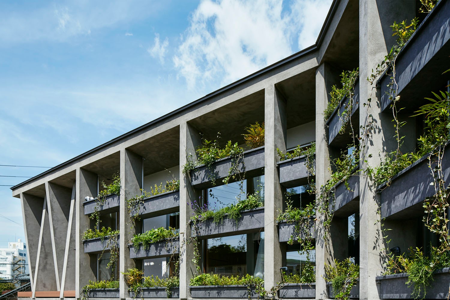 © TSC architects