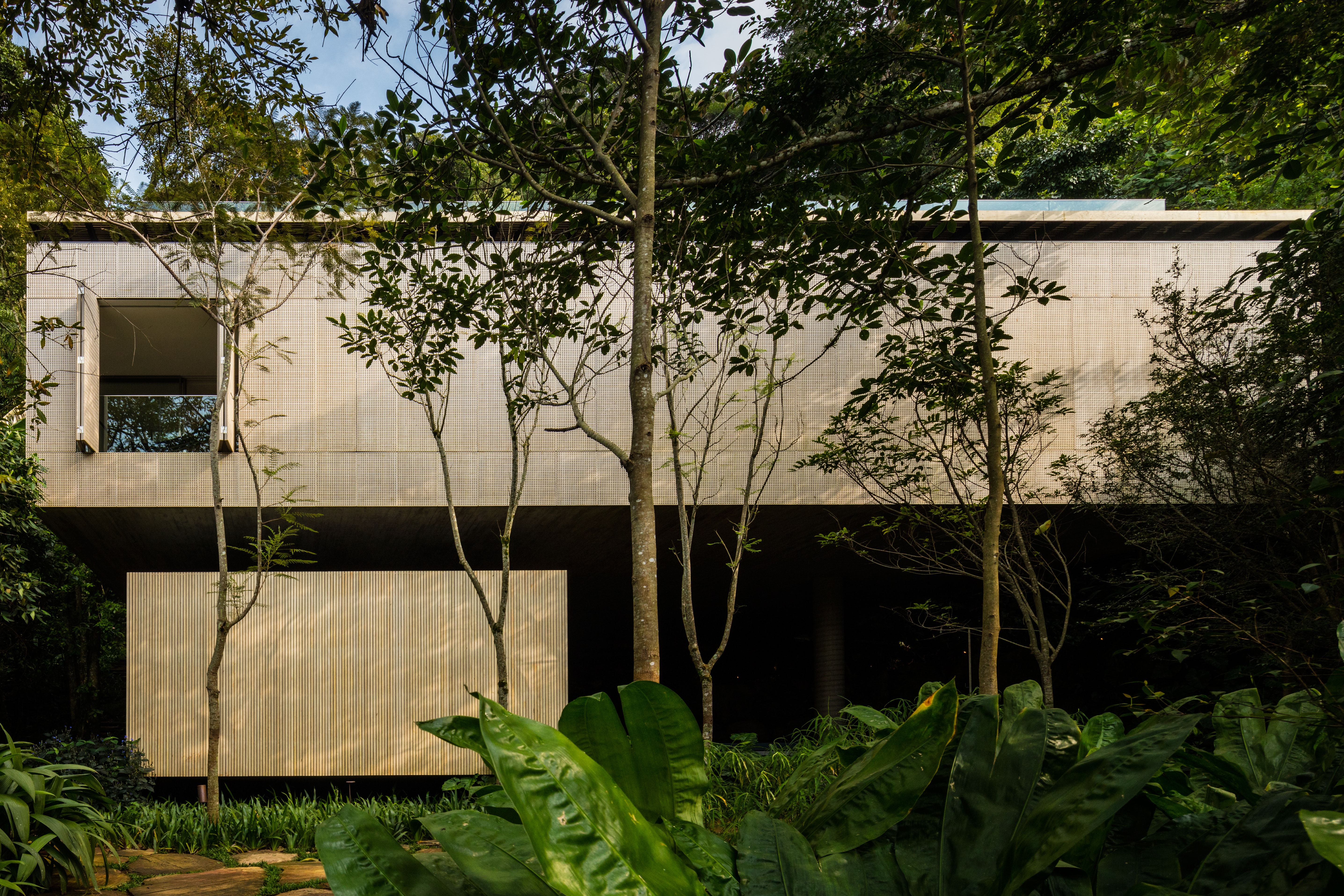 Дом в тропическом лесу. Old house on jungle. Jungle house. Jungle house. Дом в джунглях бразилии.