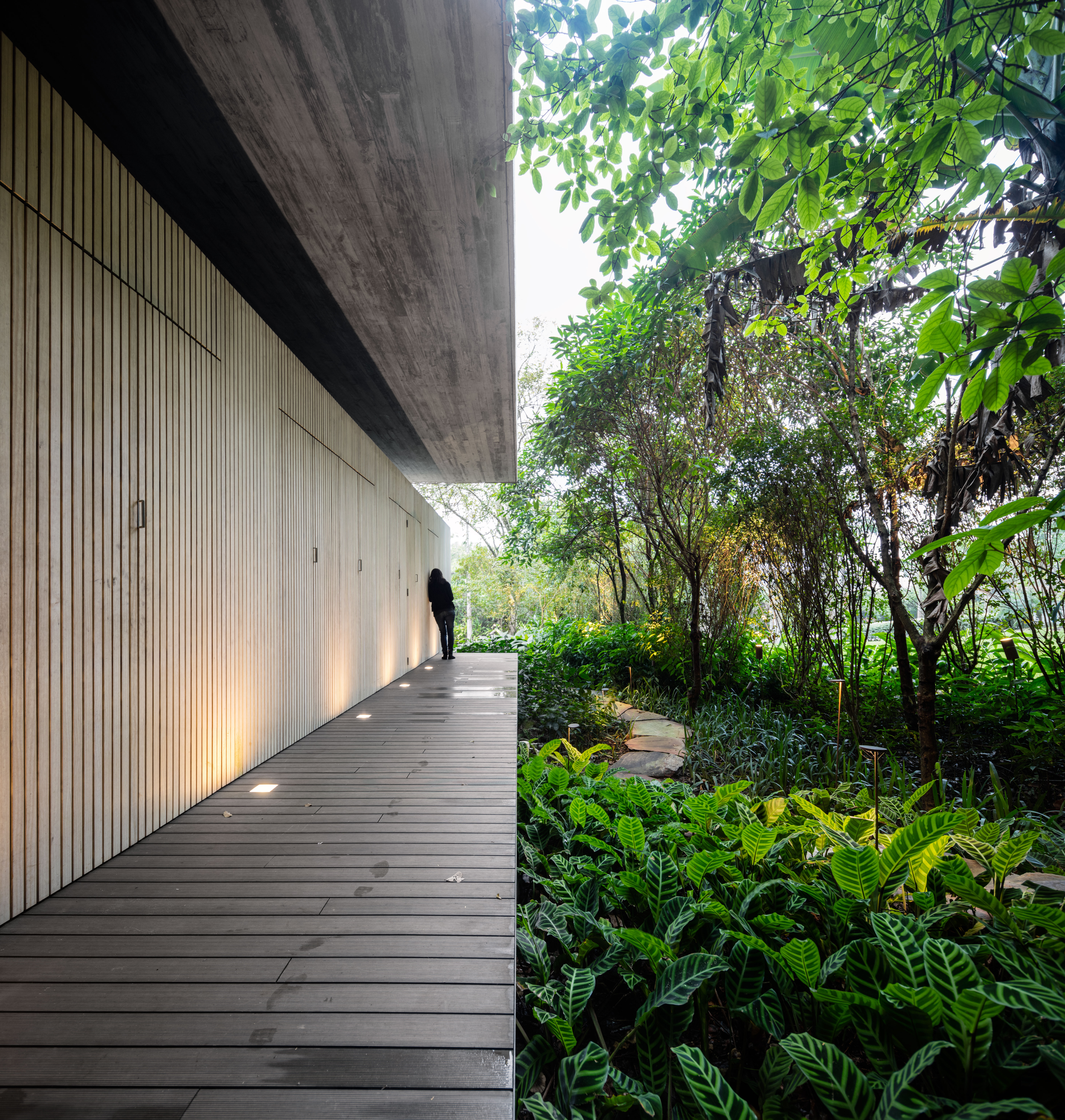 Дом в джунглях бразилии. «дом в джунглях» сидней. «дом в джунглях» сидней. Современный дом в джунглях. Бразилия отель в джунглях.