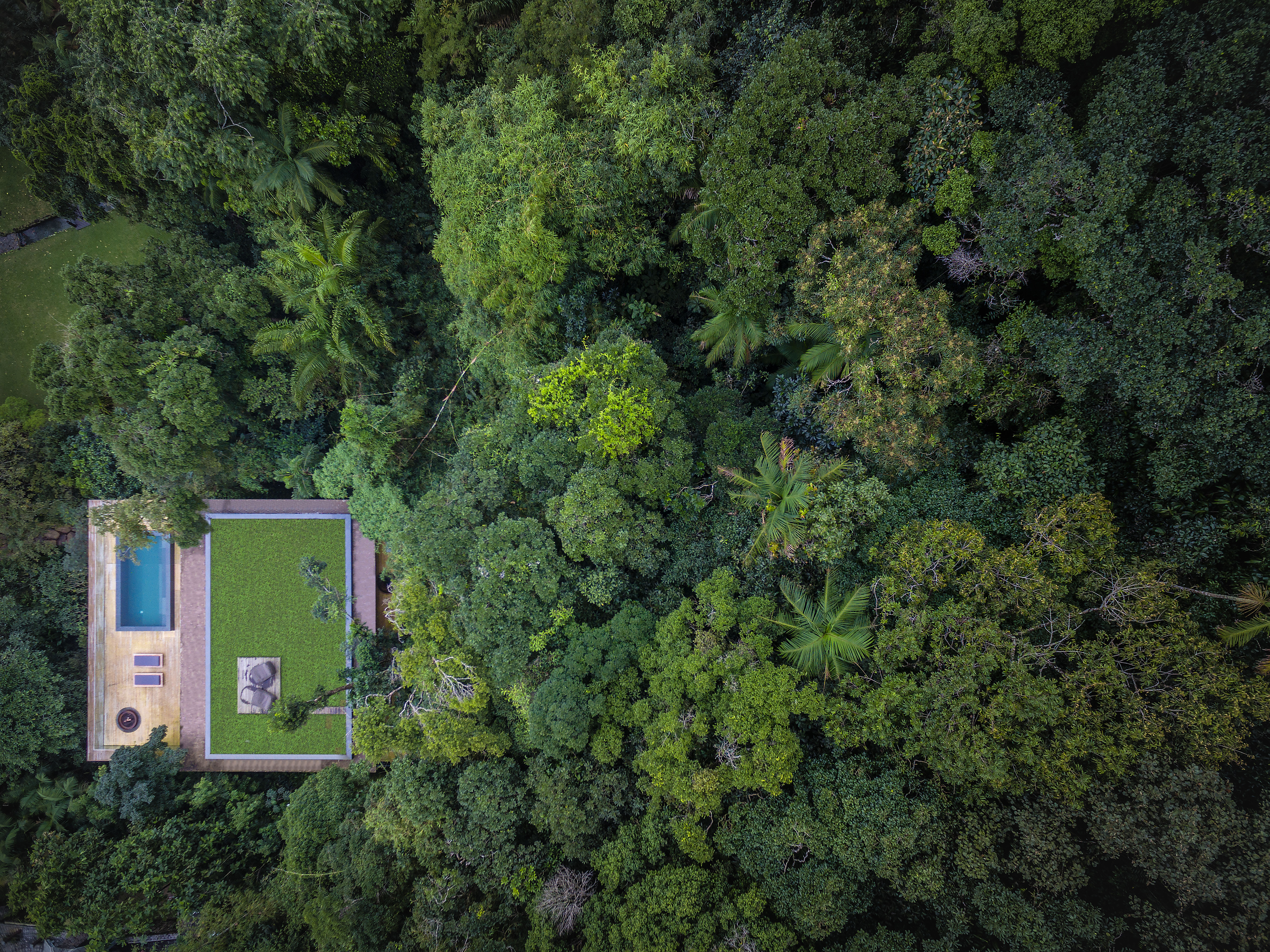Cyrodilic jungle house. Jungle house. Домик в джунглях. Суматра букит лаванг. Сад в стиле тропиков.