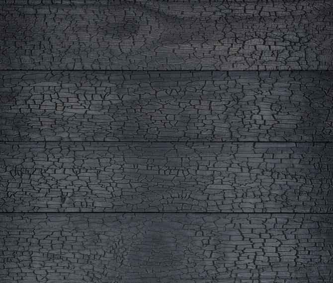 Accoya | Gator