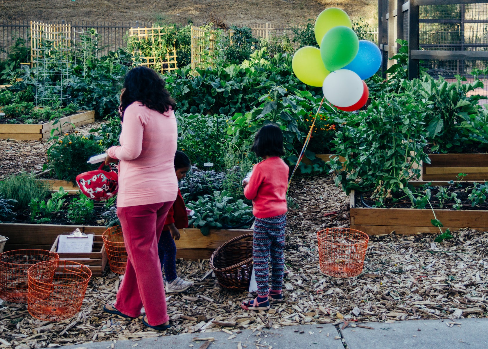 Mansion Grove by Farmscape Architizer
