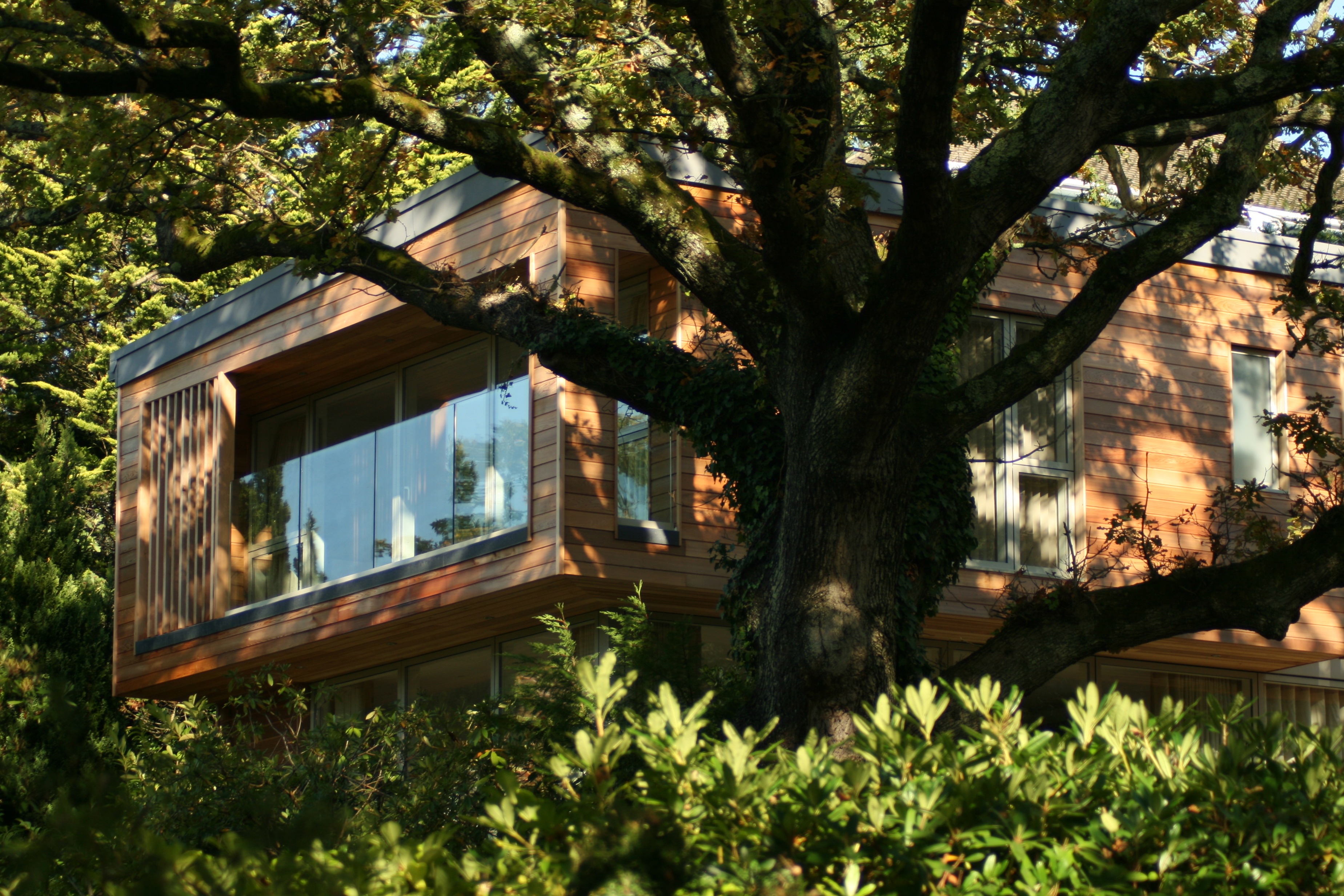 Bingham Avenue by rbstudio architects Architizer