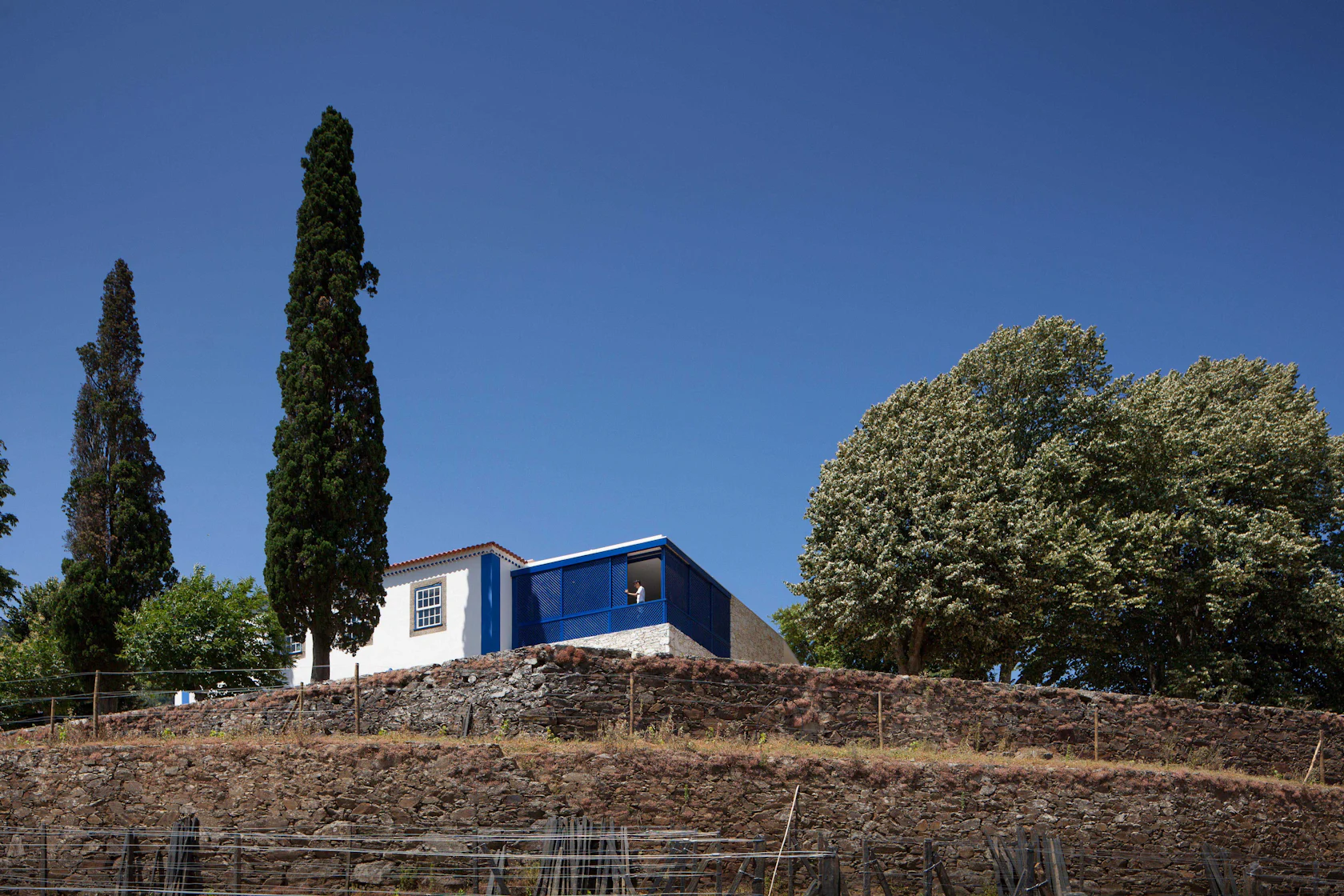 SAMF Arquitectos - Architizer