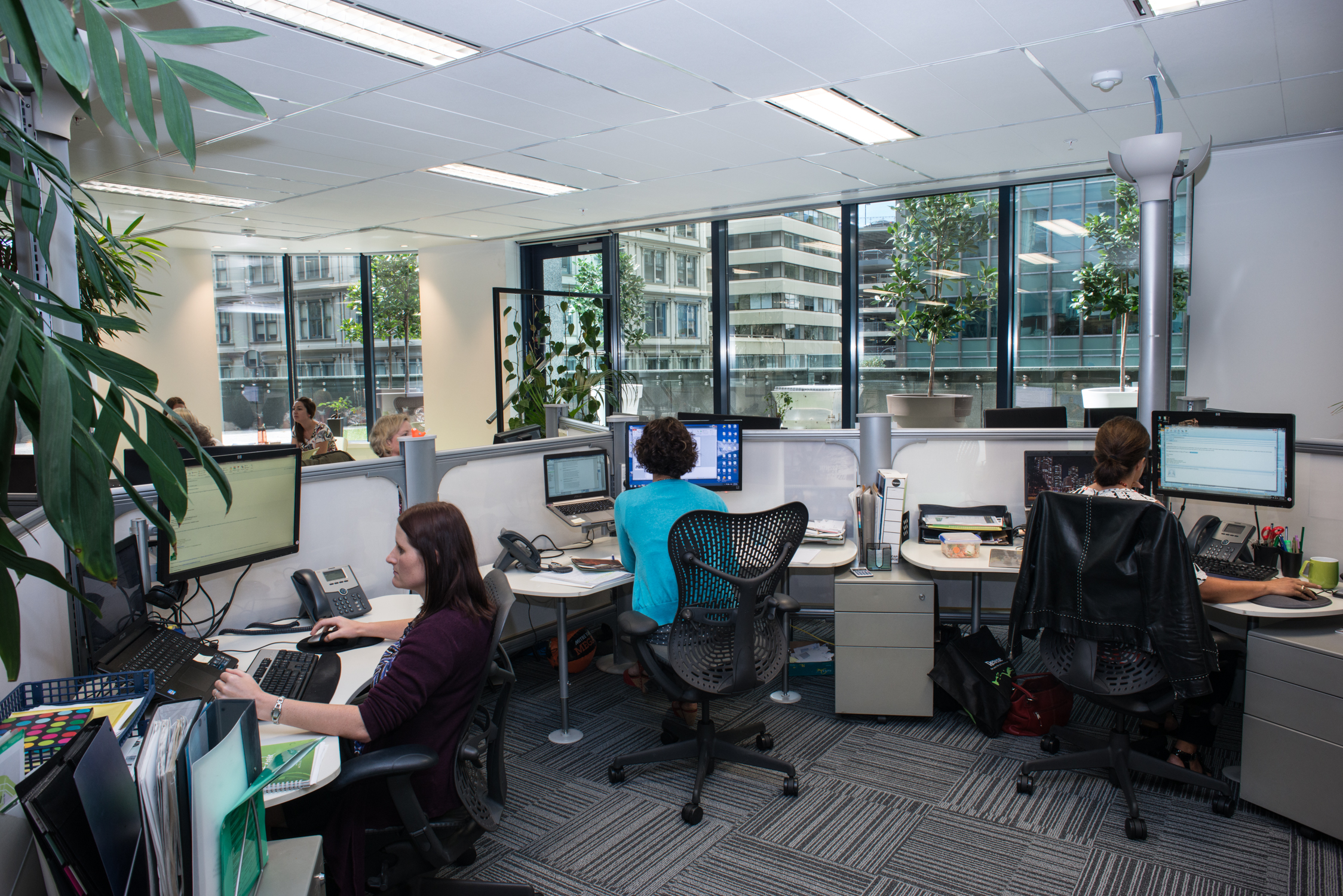 New Zealand Green Building Council Head Office by Smith Architects