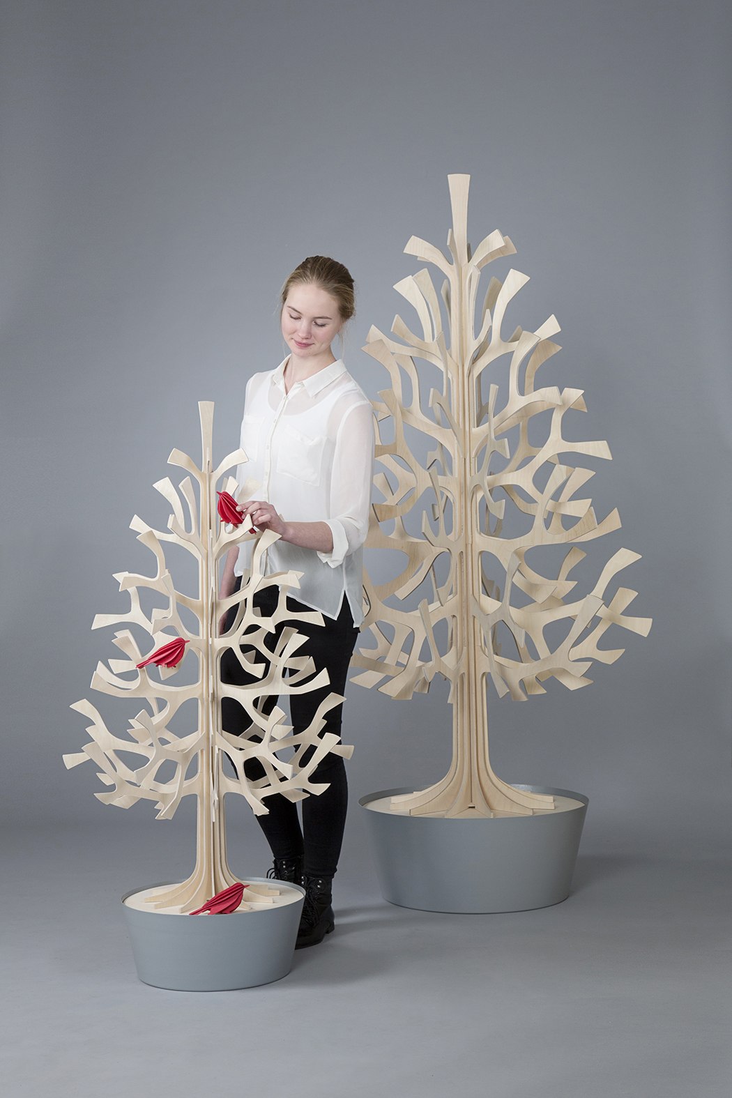 Lovi Spruce Trees